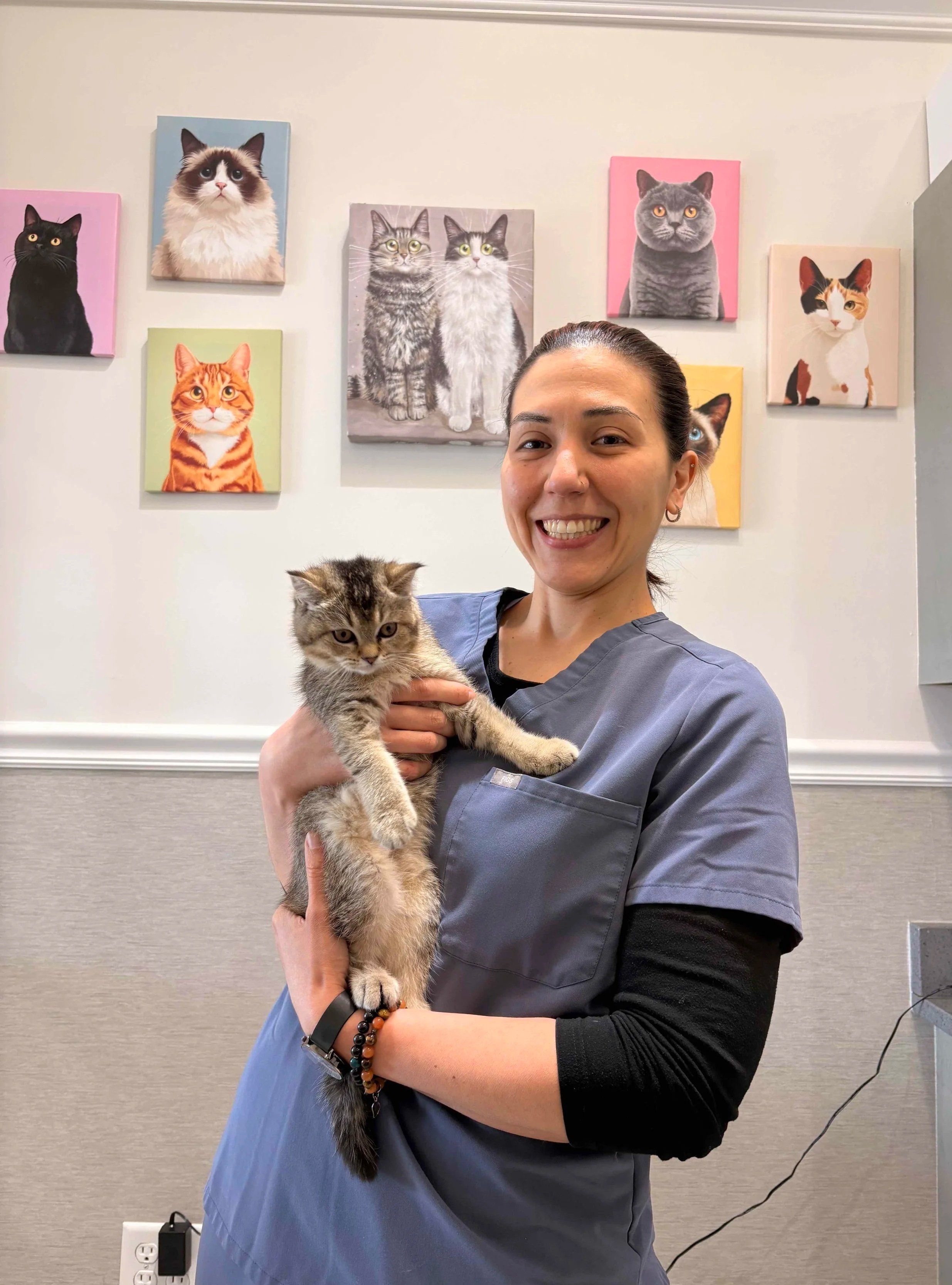 Veterinary team member holding a cat in an exam room at Veterinarian Pet Alliance in Newark, NJ.