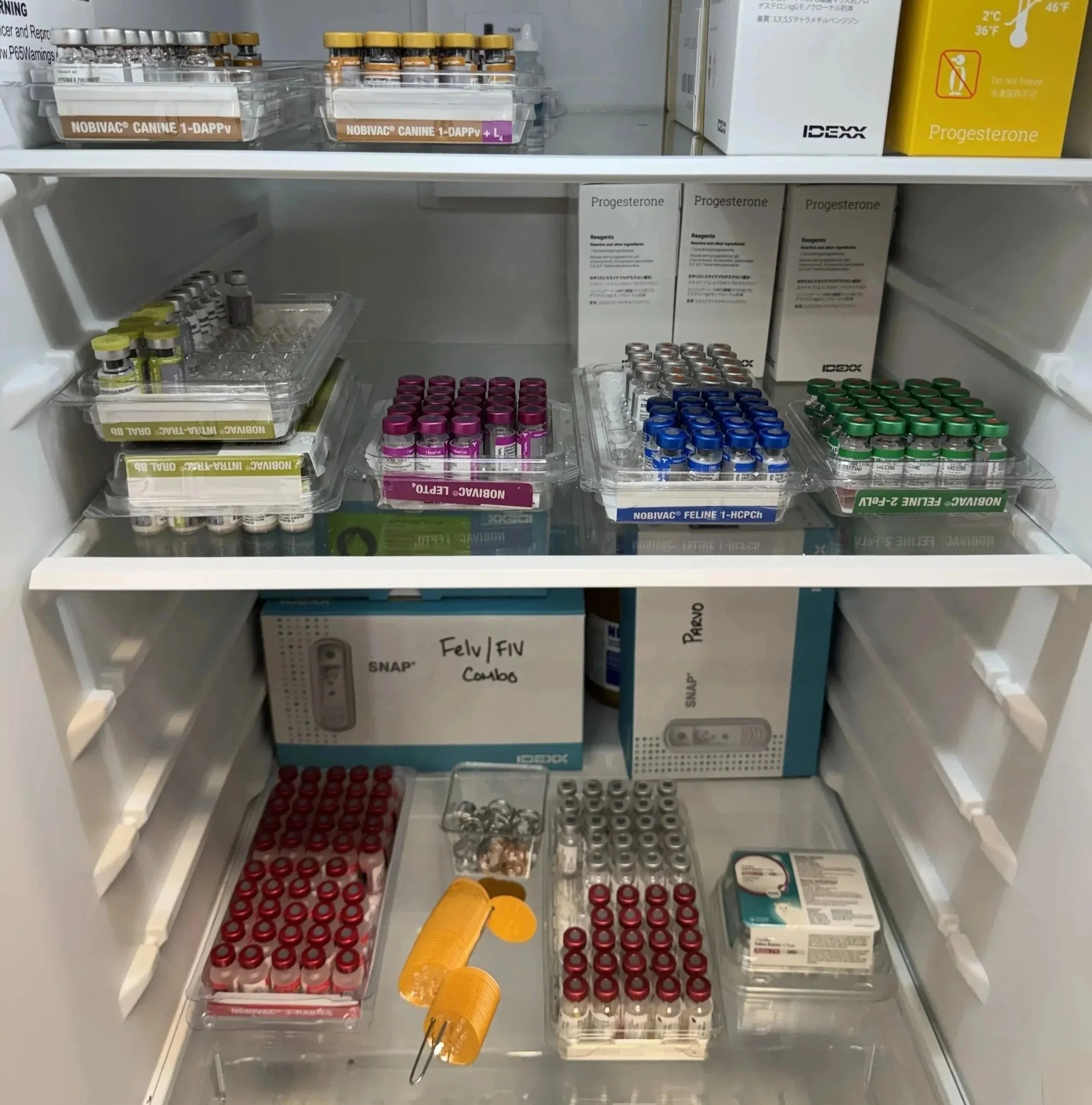 Veterinary vaccine storage for rabies certificates and pet travel requirements in Newark, NJ.