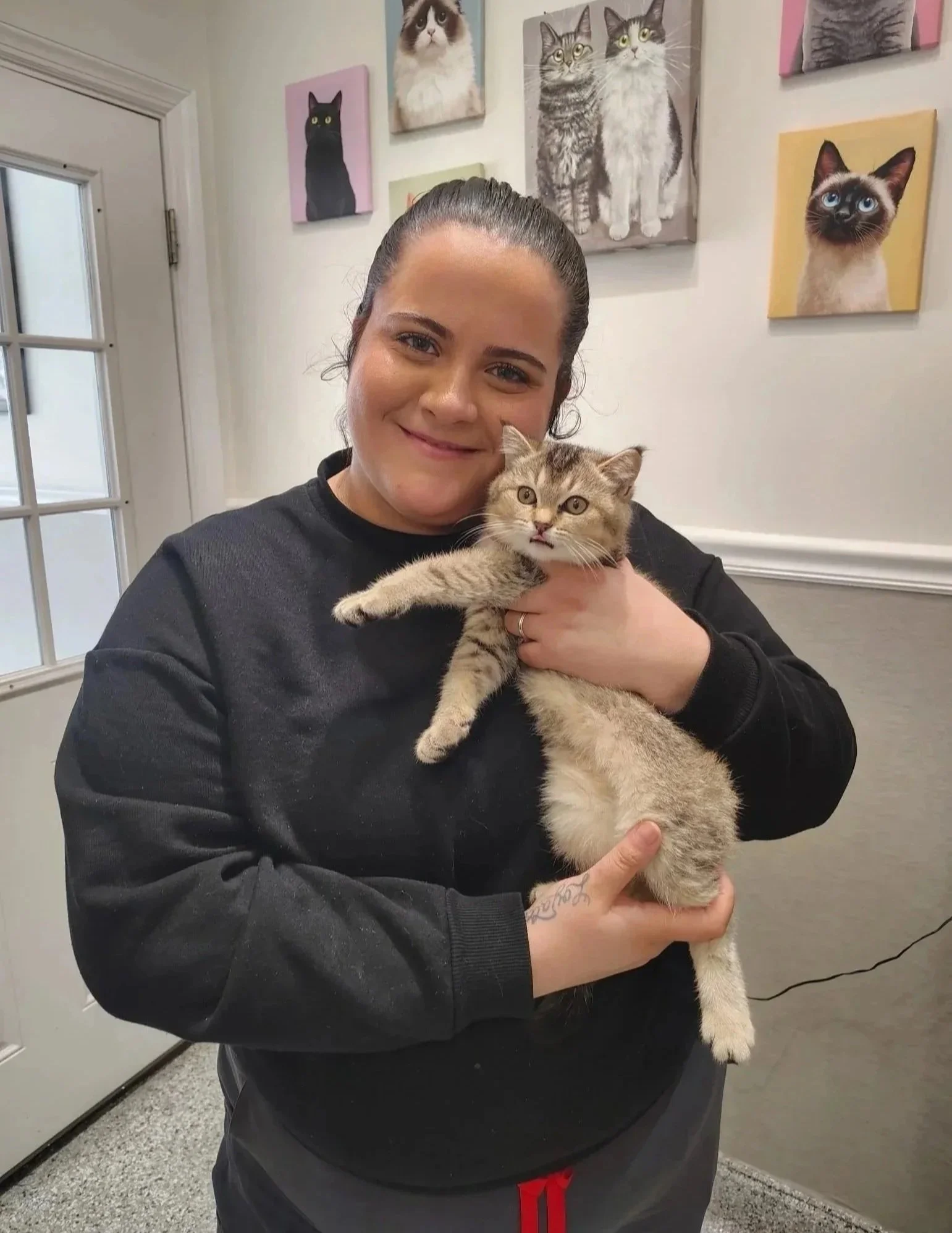Cat being held by a clinic team member during a pet prescription visit in Newark, NJ.