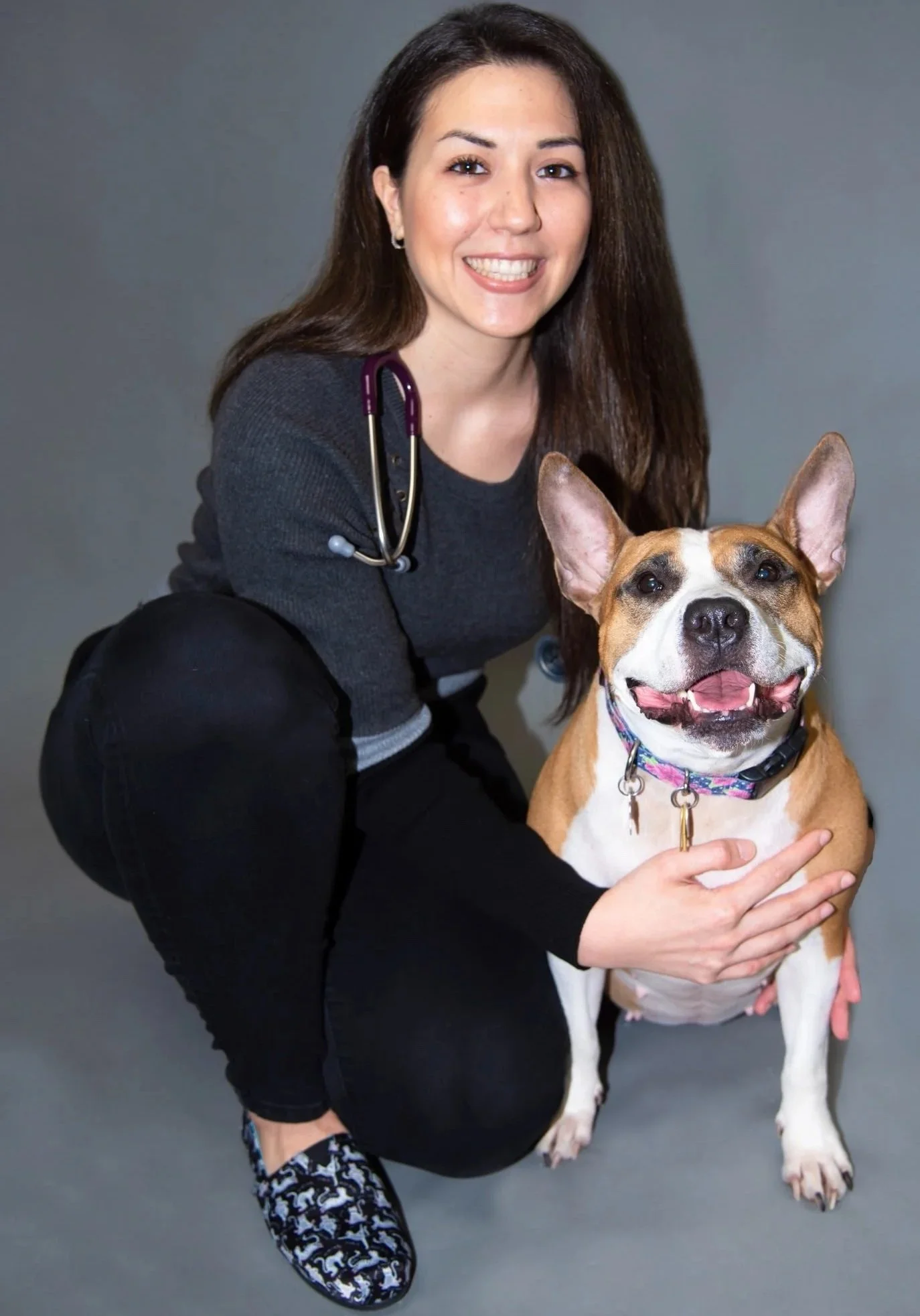 Veterinary team member with a dog during a dental care consultation at Veterinarian Pet Alliance in Newark, NJ.