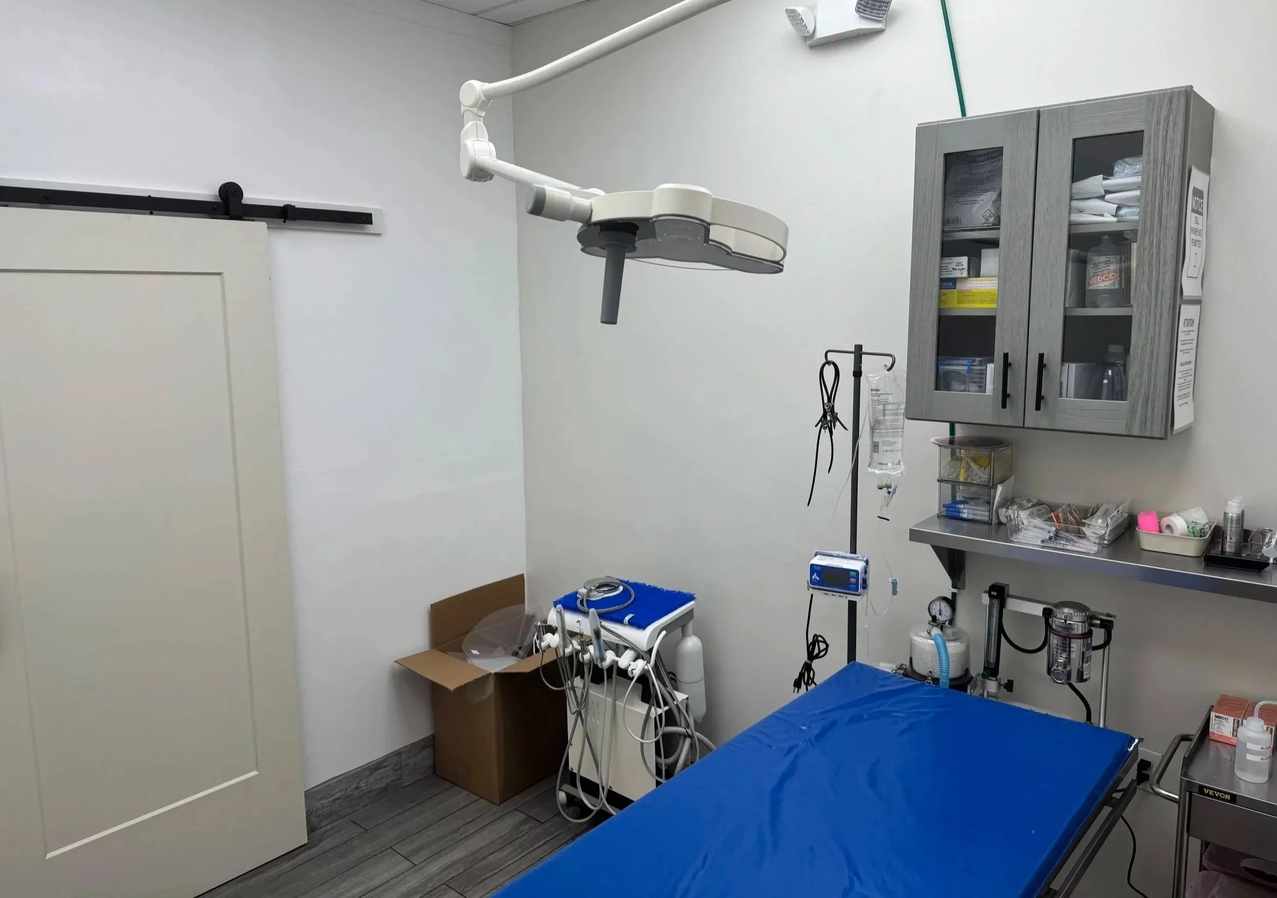Veterinary treatment room with surgical lighting and equipment for procedure-day care planning in Newark, NJ.
