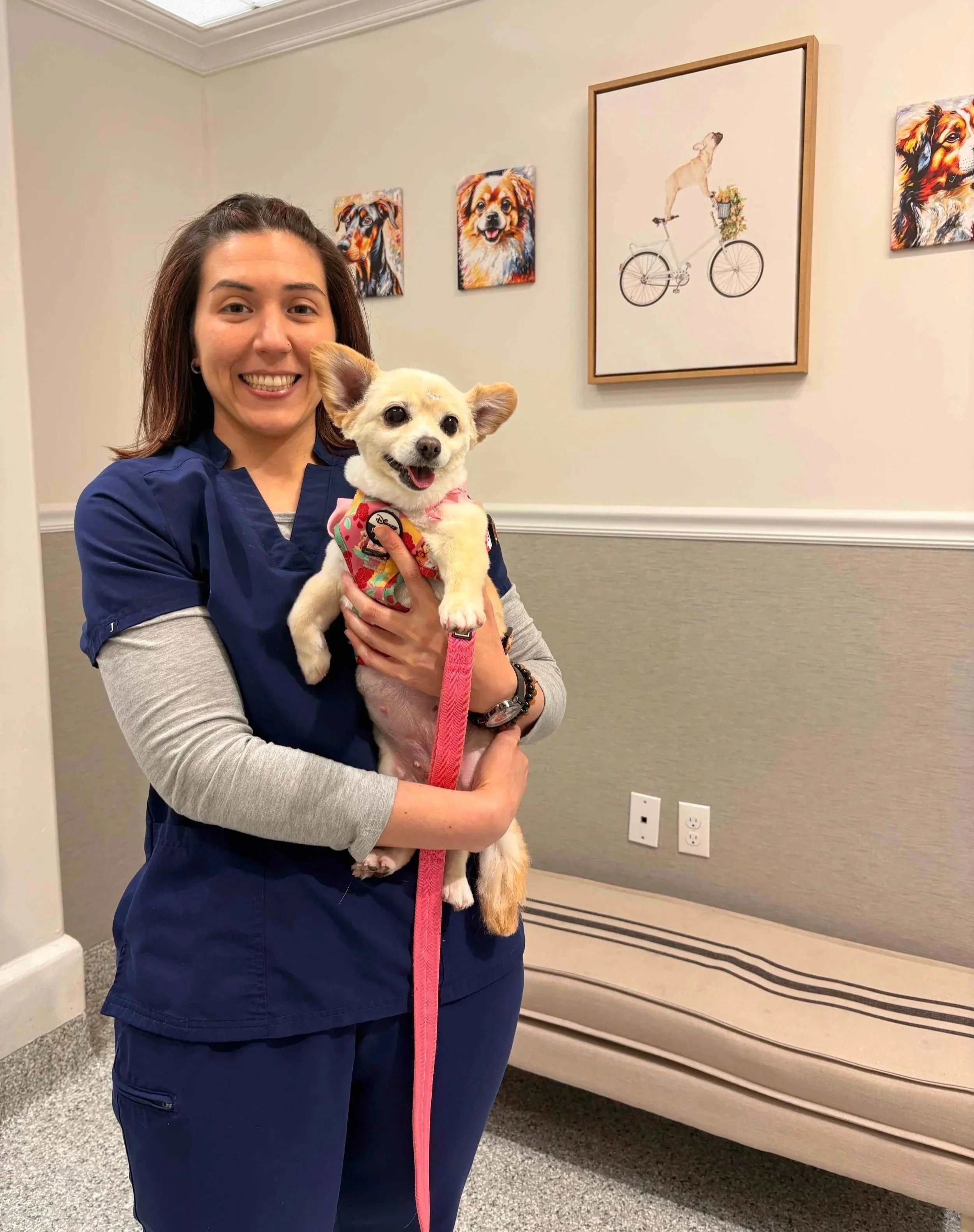 Veterinary team member holding a small dog inside Veterinarian Pet Alliance in Newark, NJ.