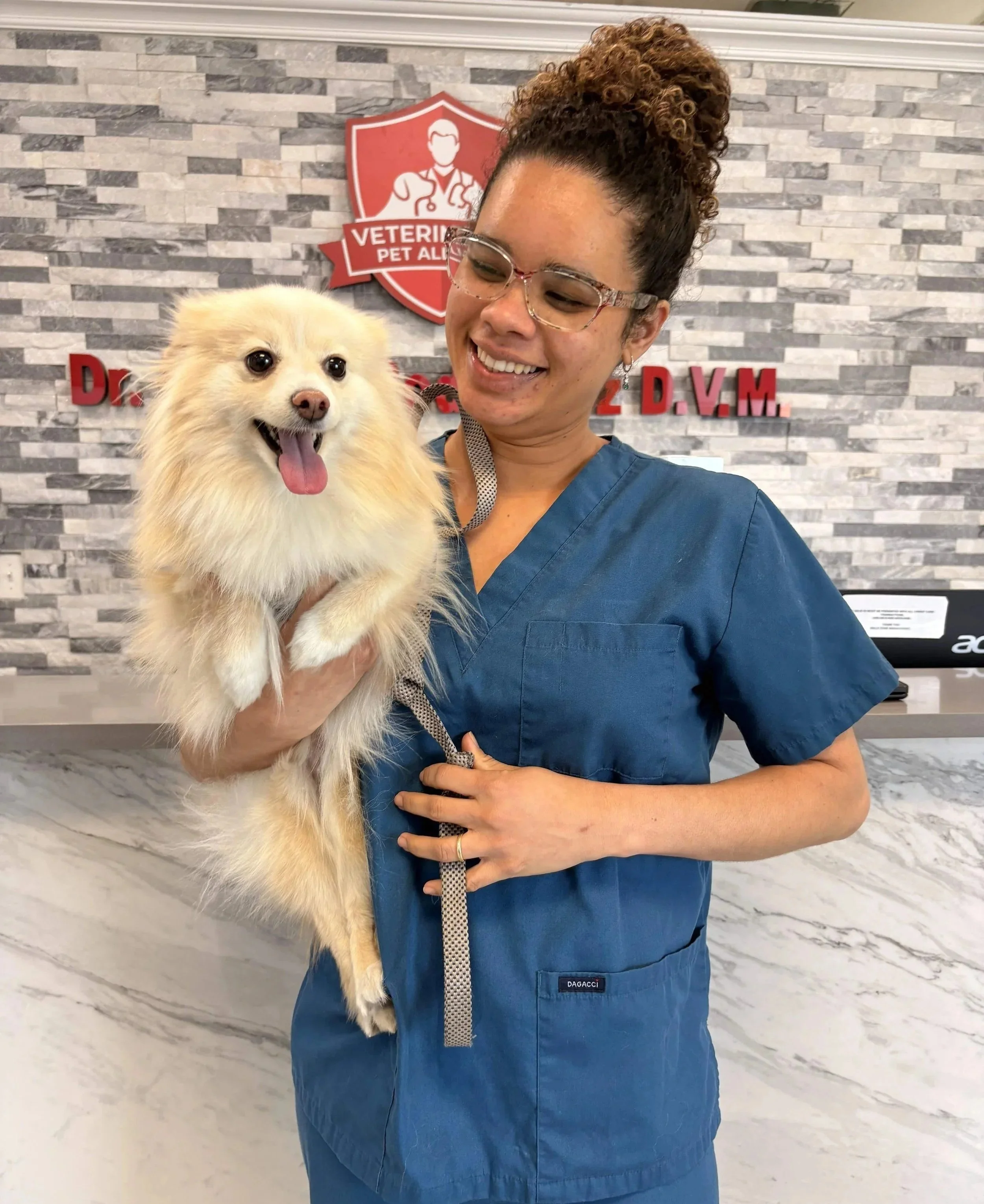 Veterinary team member holding a dog for domestic pet travel certificate care in Newark, NJ.