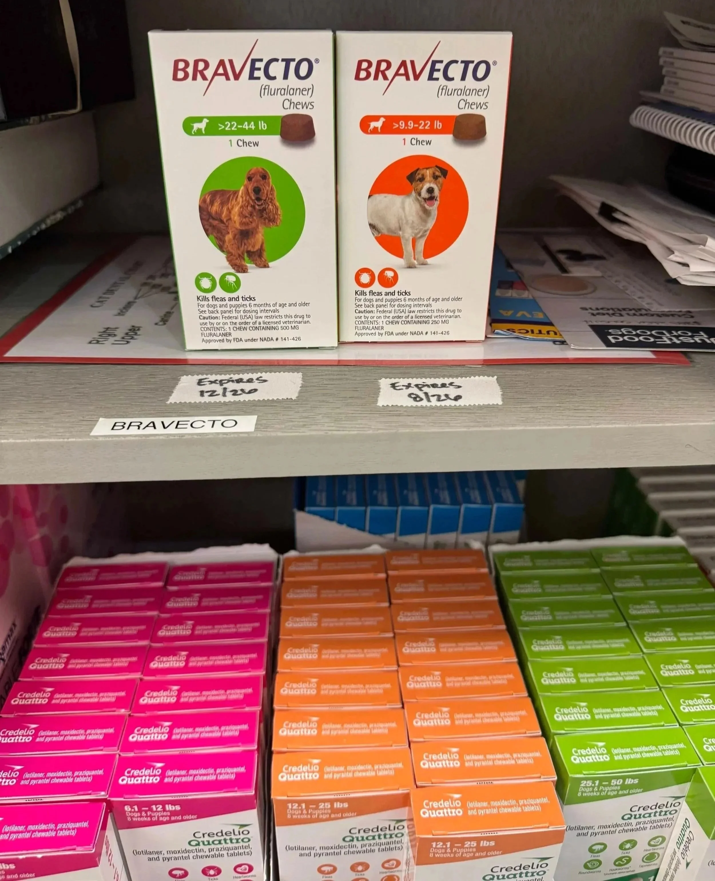 Shelf of pet medication products for dogs and cats at Veterinarian Pet Alliance in Newark, NJ.