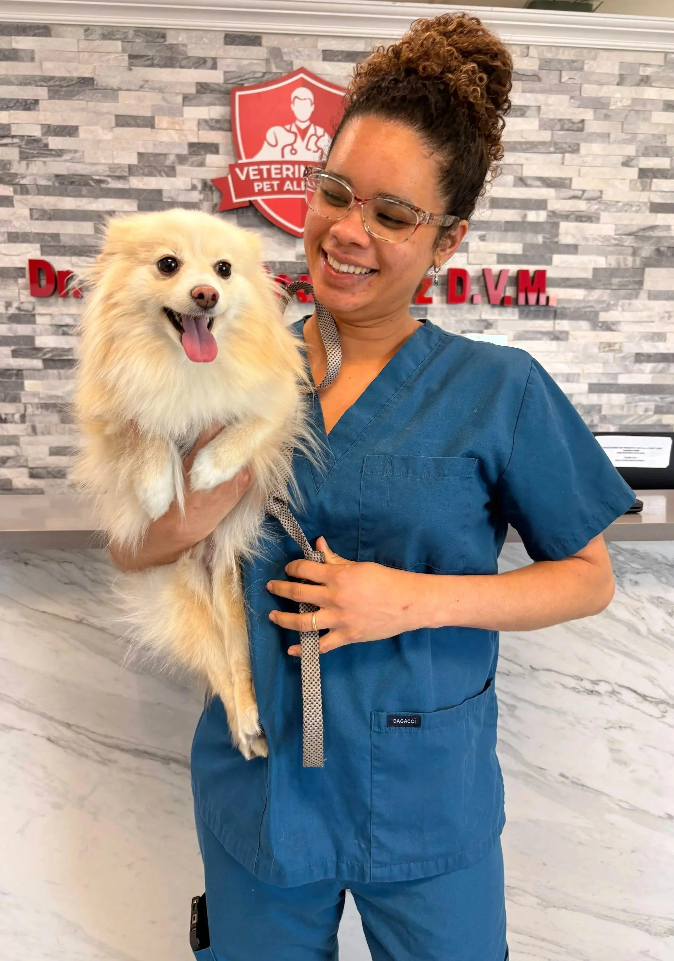 A veterinary team member holds a small dog inside an exam room at Veterinarian Pet Alliance in Newark.