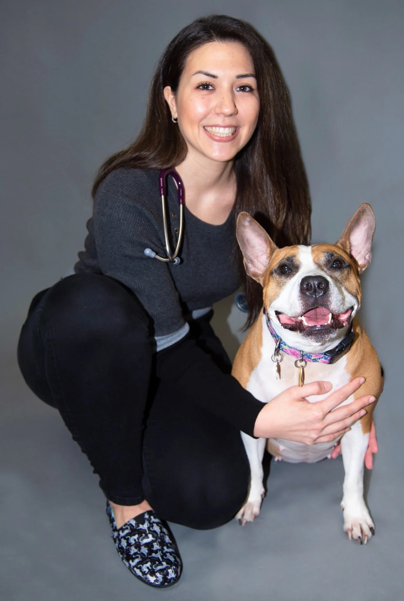 Veterinary team member holding a dog for surgical care context at Veterinarian Pet Alliance in Newark, NJ.