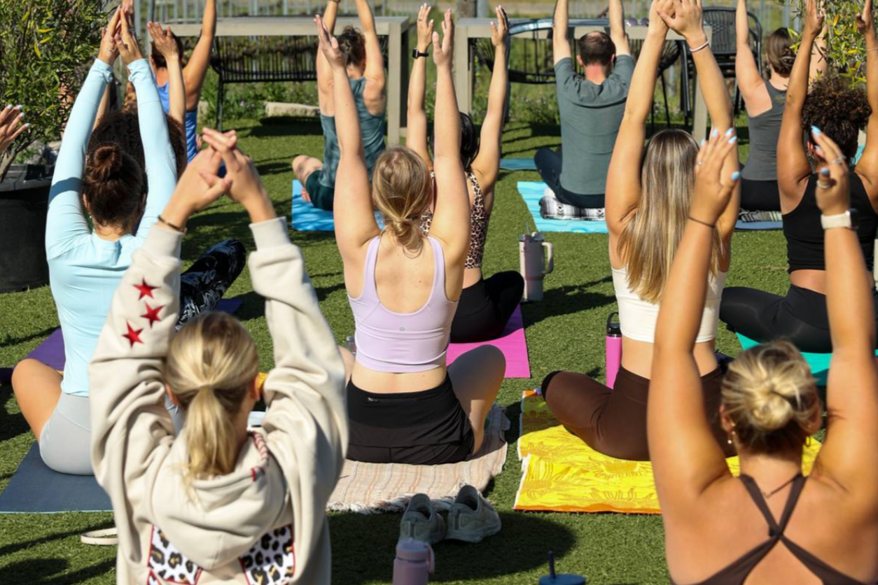 Yoga with a Vineyard View