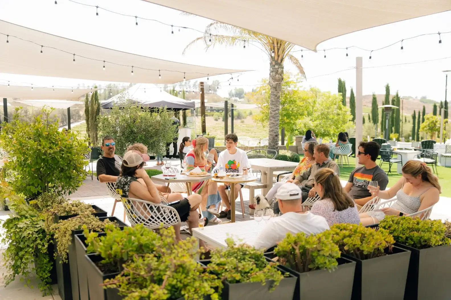 Thrillist: Forget Napa, Temecula Is the Underrated Wine Region to Visit this Summer