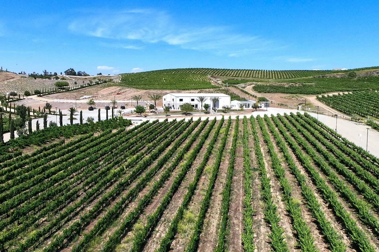 Wine Country: 15 Best Temecula Wineries to Visit