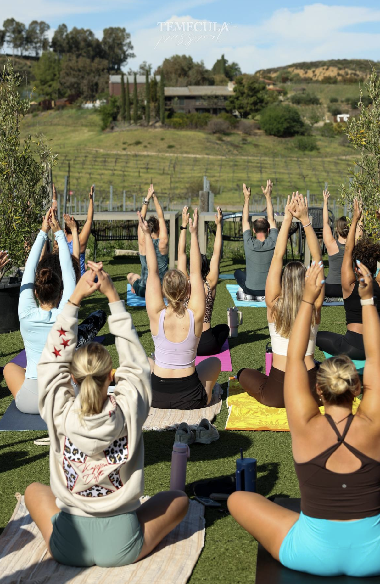 People doing wine at Akash Winery in the vineyard