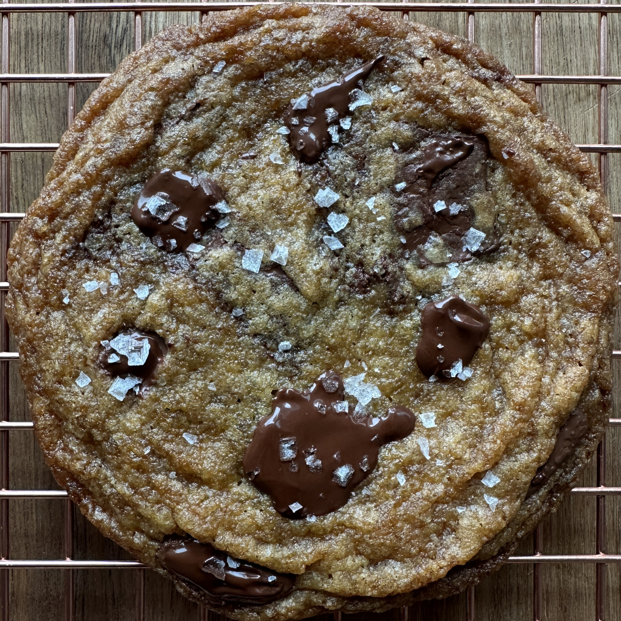 Untitled design(3).png