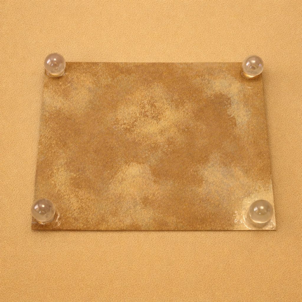 Beach Shells Back.png