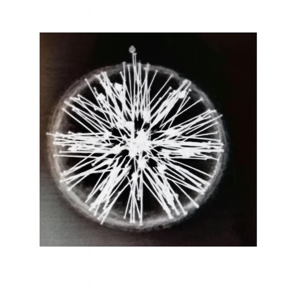 Pin Warning.png (Copy)