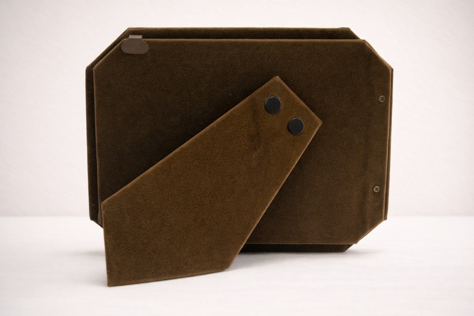 Floral Dragonfly Back.png