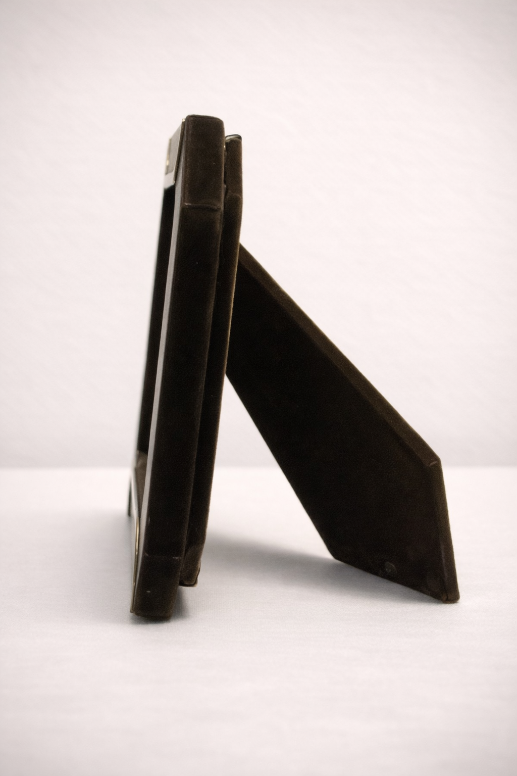 Floral Dragonfly Side.png