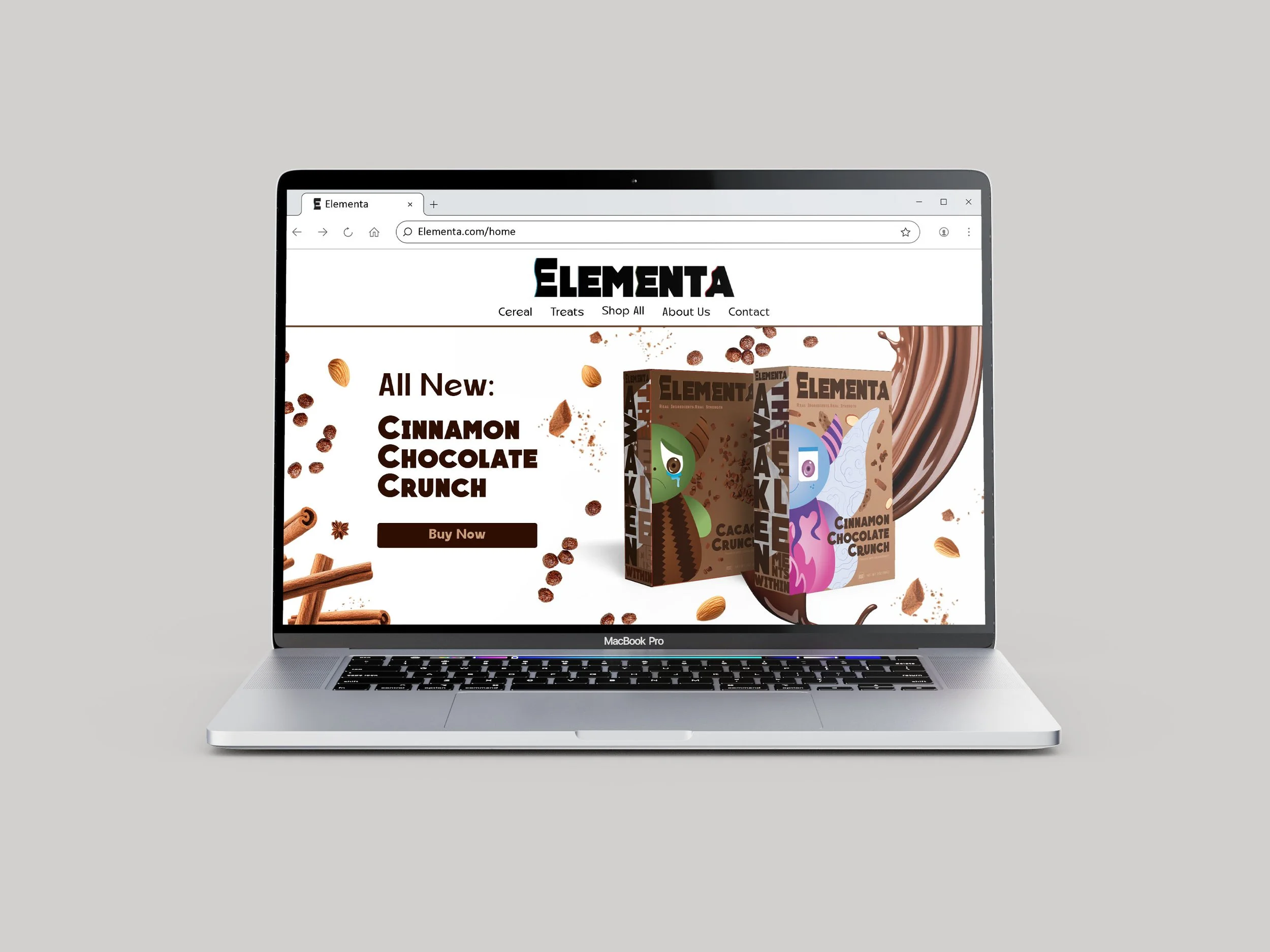 ELEMENTA WEBSITE MOCKUP.jpg