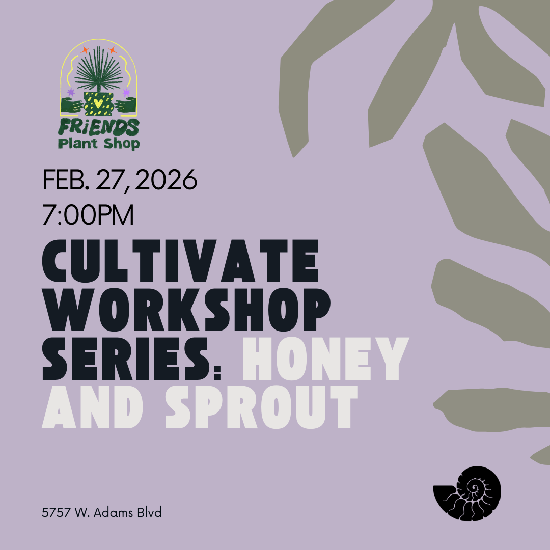 Cultivate Series: Honey and Sprouts