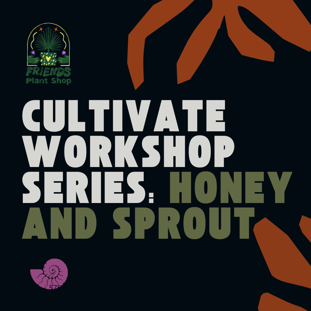 Cultivate Series: Honey and Sprouts
