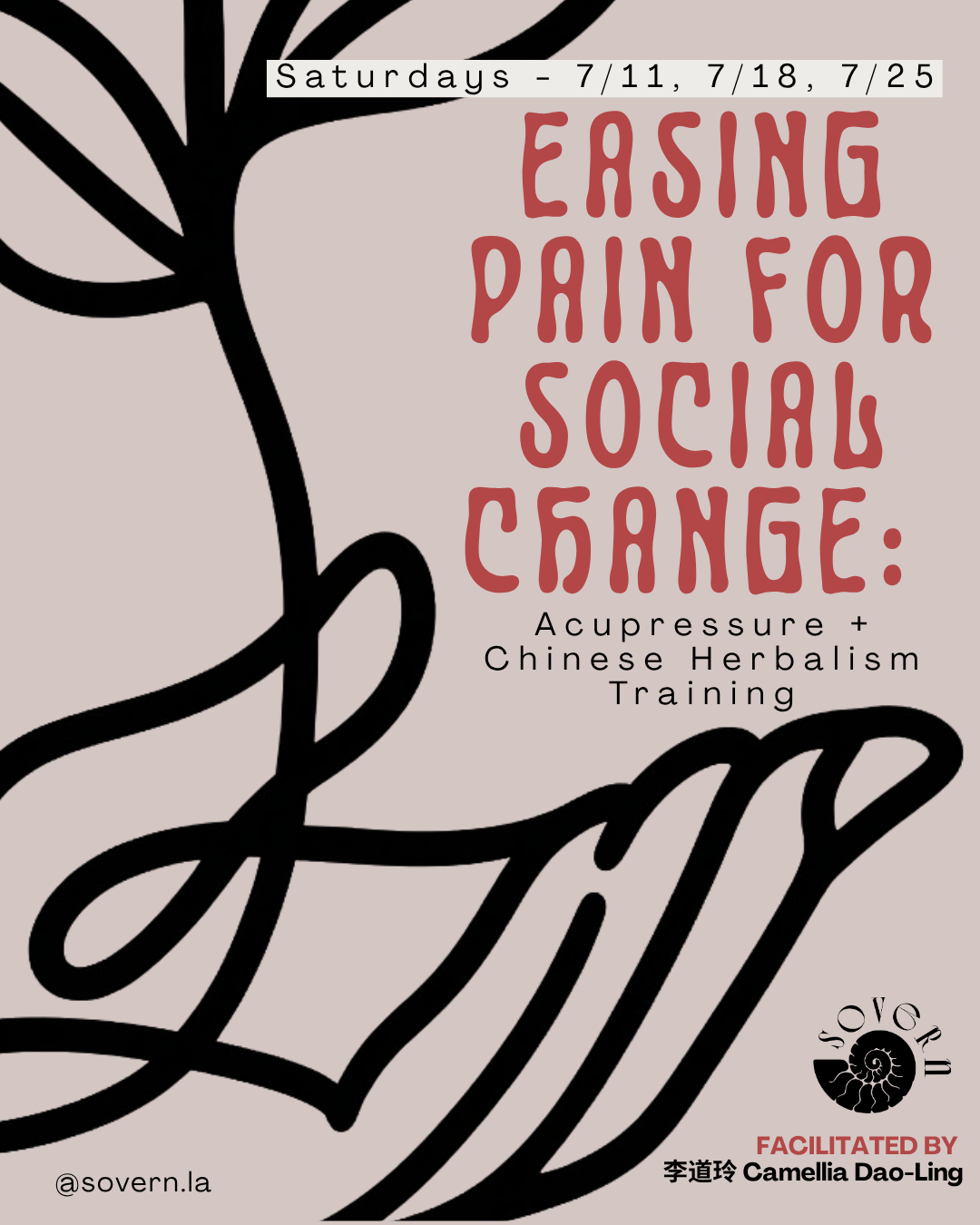 Easing Pain for Social Change: Acupressure + Chinese Herbalism Training