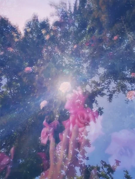 A finished work by artist Alba Castro featuring different images edited together to create a composite piece of work.