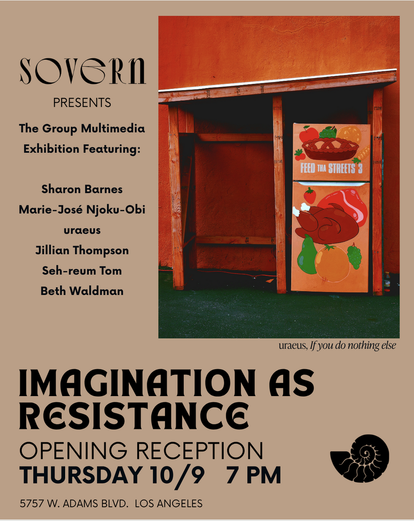 Imagination as Resistance