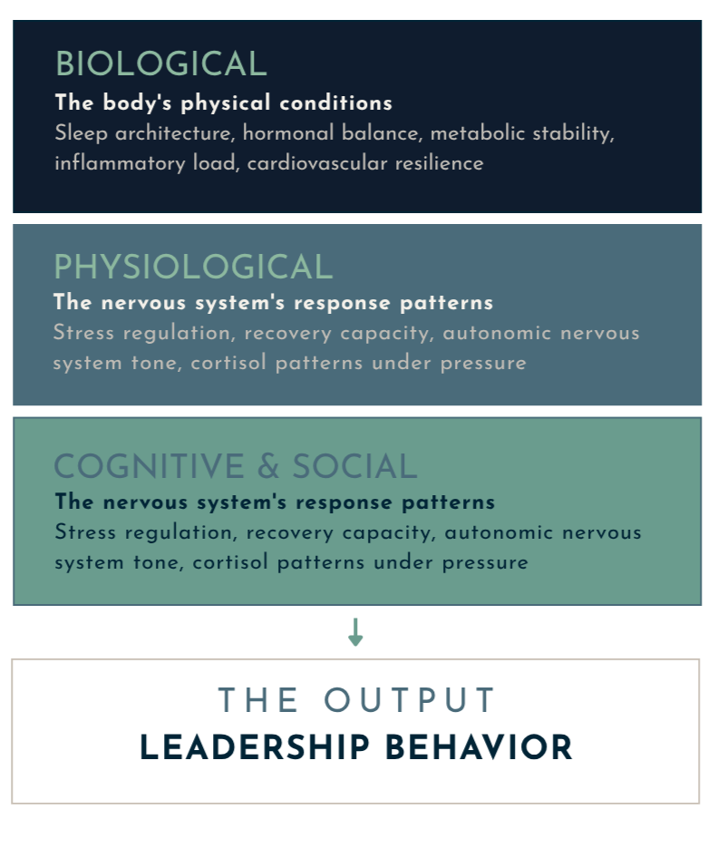 Diagram explaining the relationship between biological, physiological, and cognitive social factors and leadership behavior.