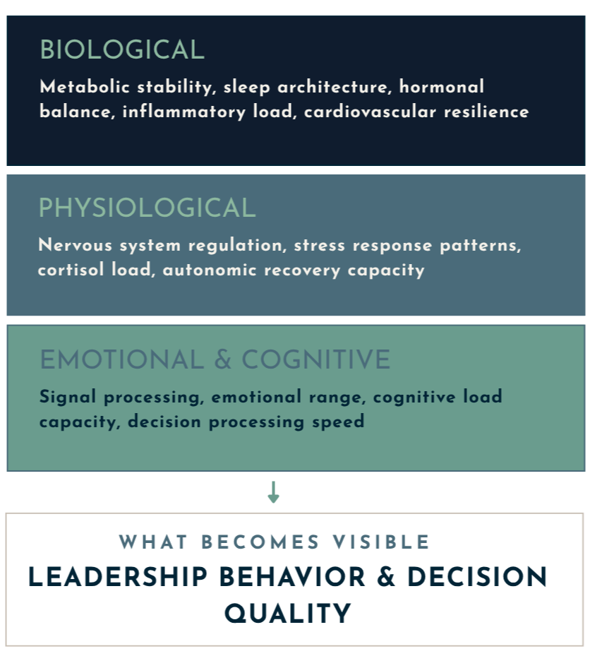 Infographic showing different factors affecting leadership behavior and decision quality, divided into sections: Biological factors, Physiological factors, and Emotional & Cognitive factors.