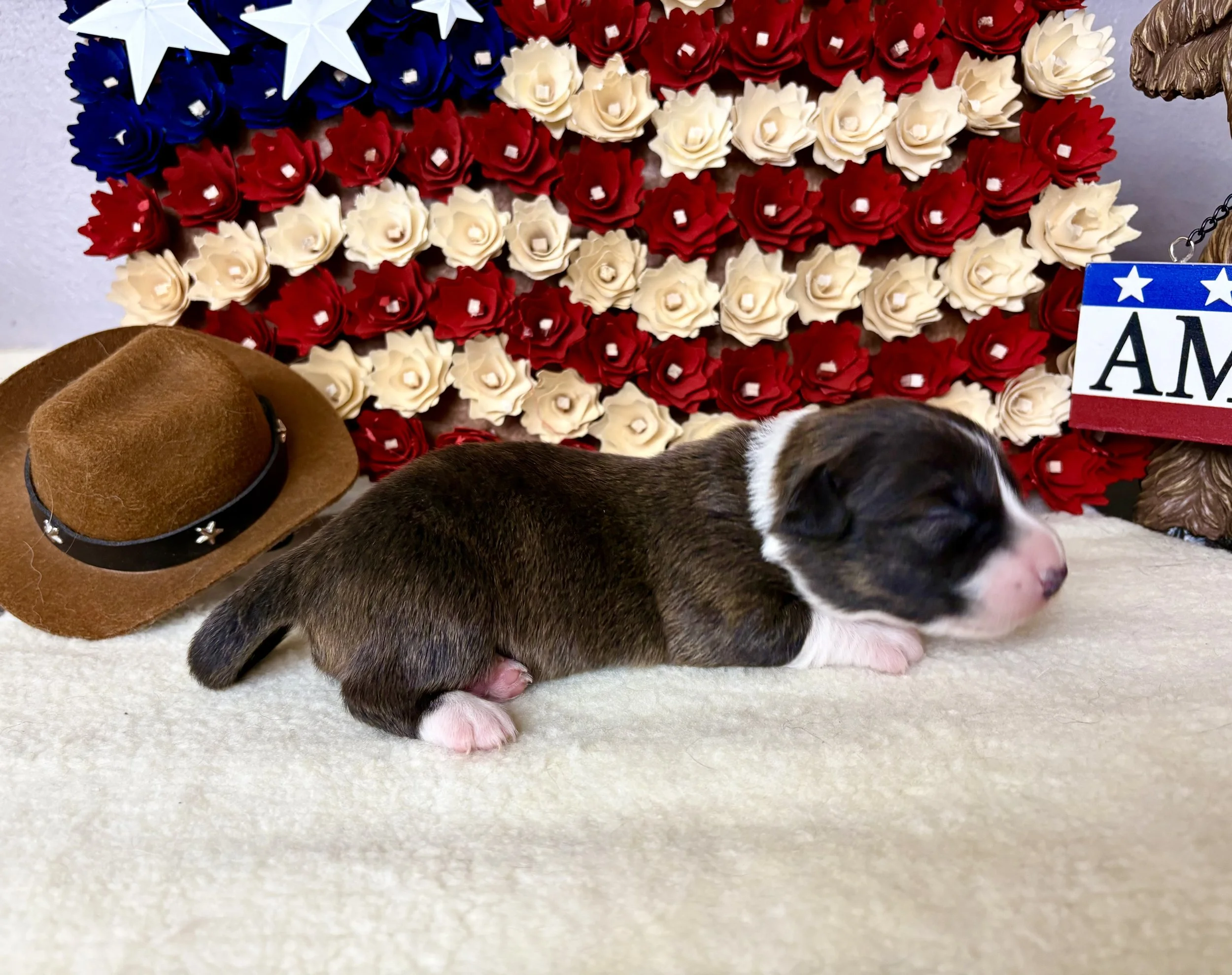 Betsy Ross
