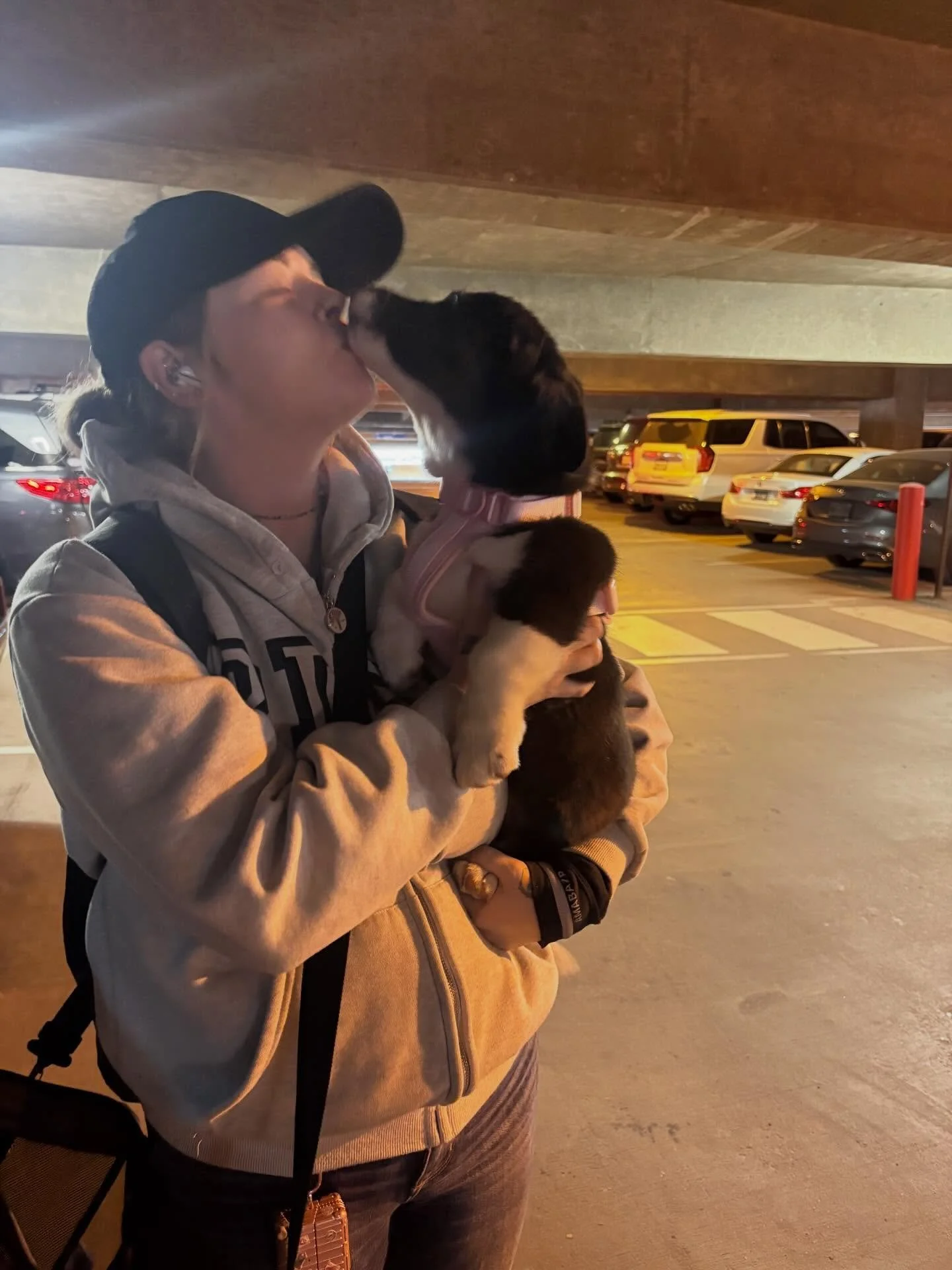 Okay so we have a lot today to go over! First and foremost sweet dove now duchess went home to her mom and dad via mom getting her from our local airport! They are so sweet and already love her so much! So big thanks to the Rothweiler family for addi