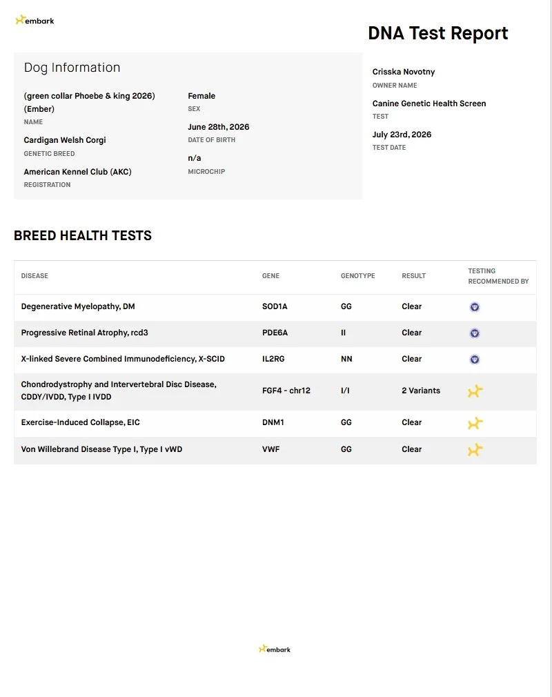 Ember Embark Results