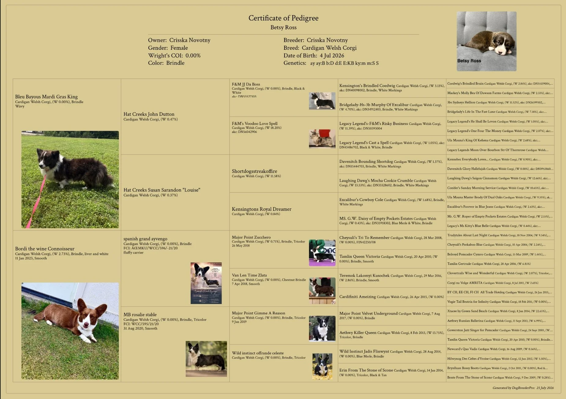 Screenshot_25-7-2026_222214_dogbreederpro.com.jpeg