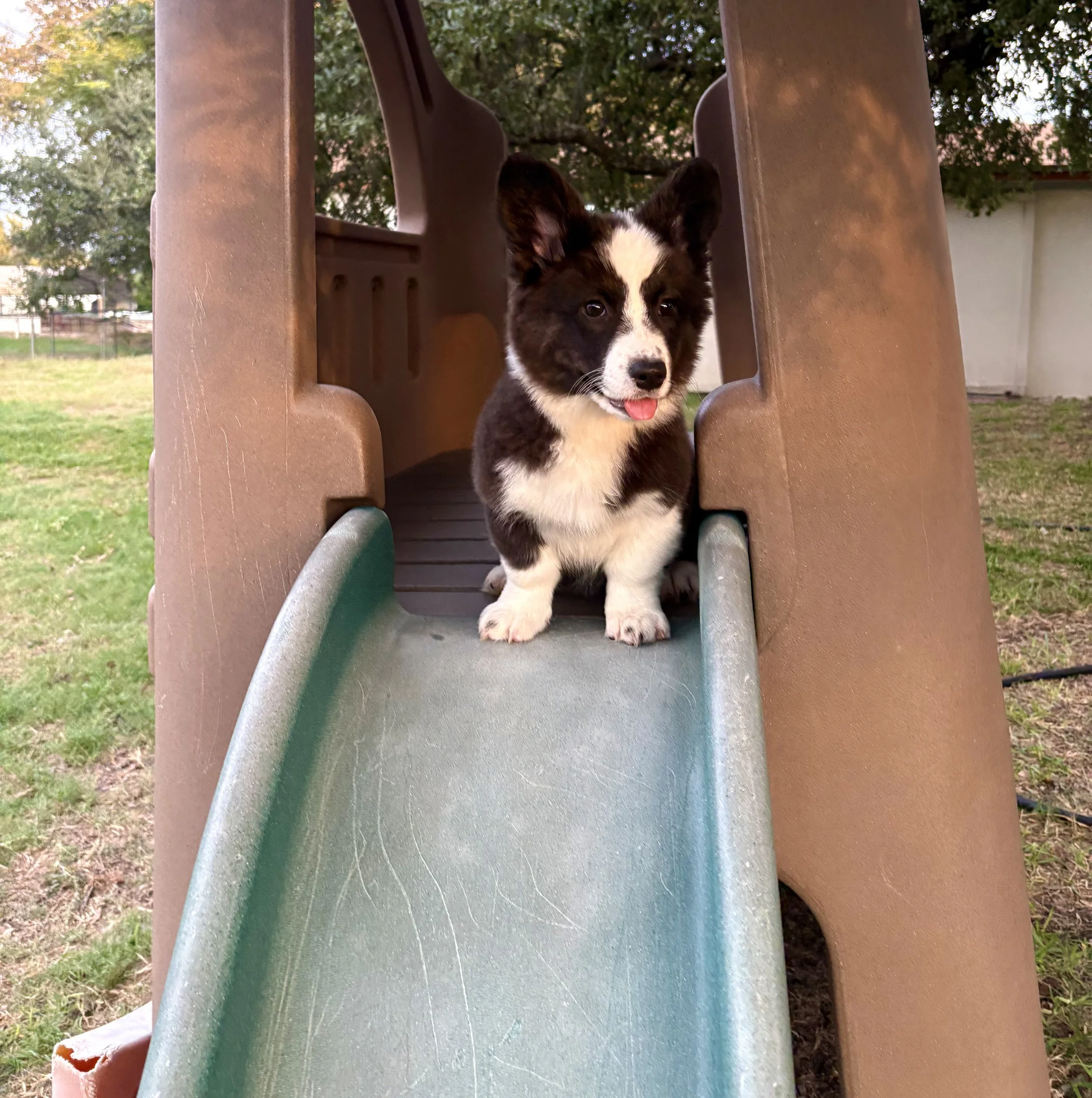 IMG_2386.jpeg