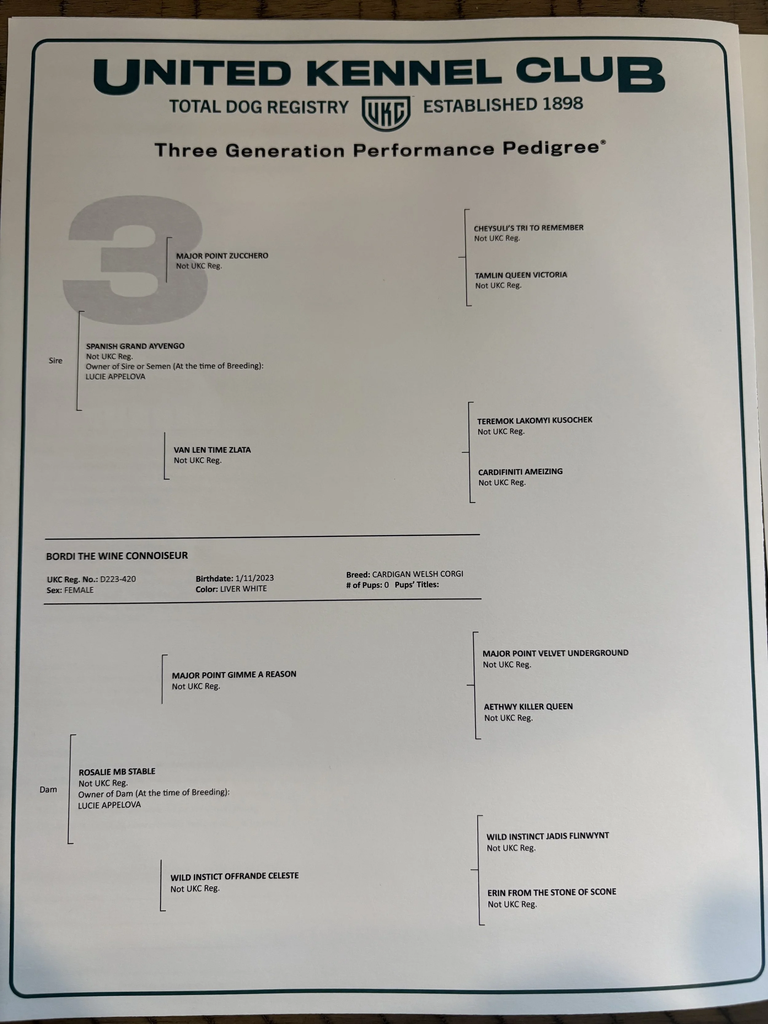 Bordi's UKC Pedigree