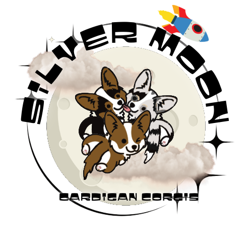 Silvermoon Cardigan Corgis