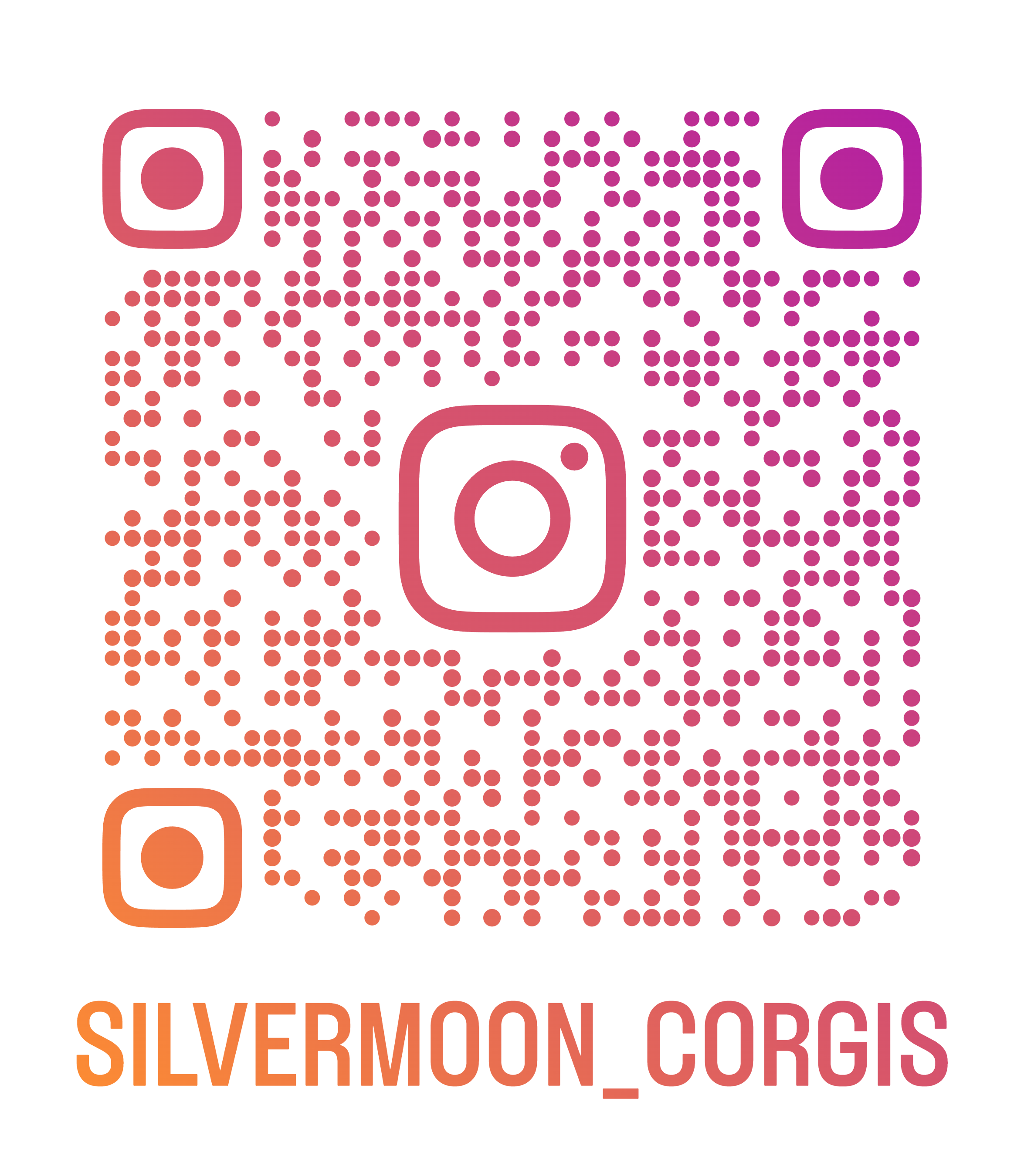 QR code with a gradient of purple, pink, and orange colors. Below the QR code, there is text that reads 'SILVERMOON_CORGIS' in orange and purple letters.