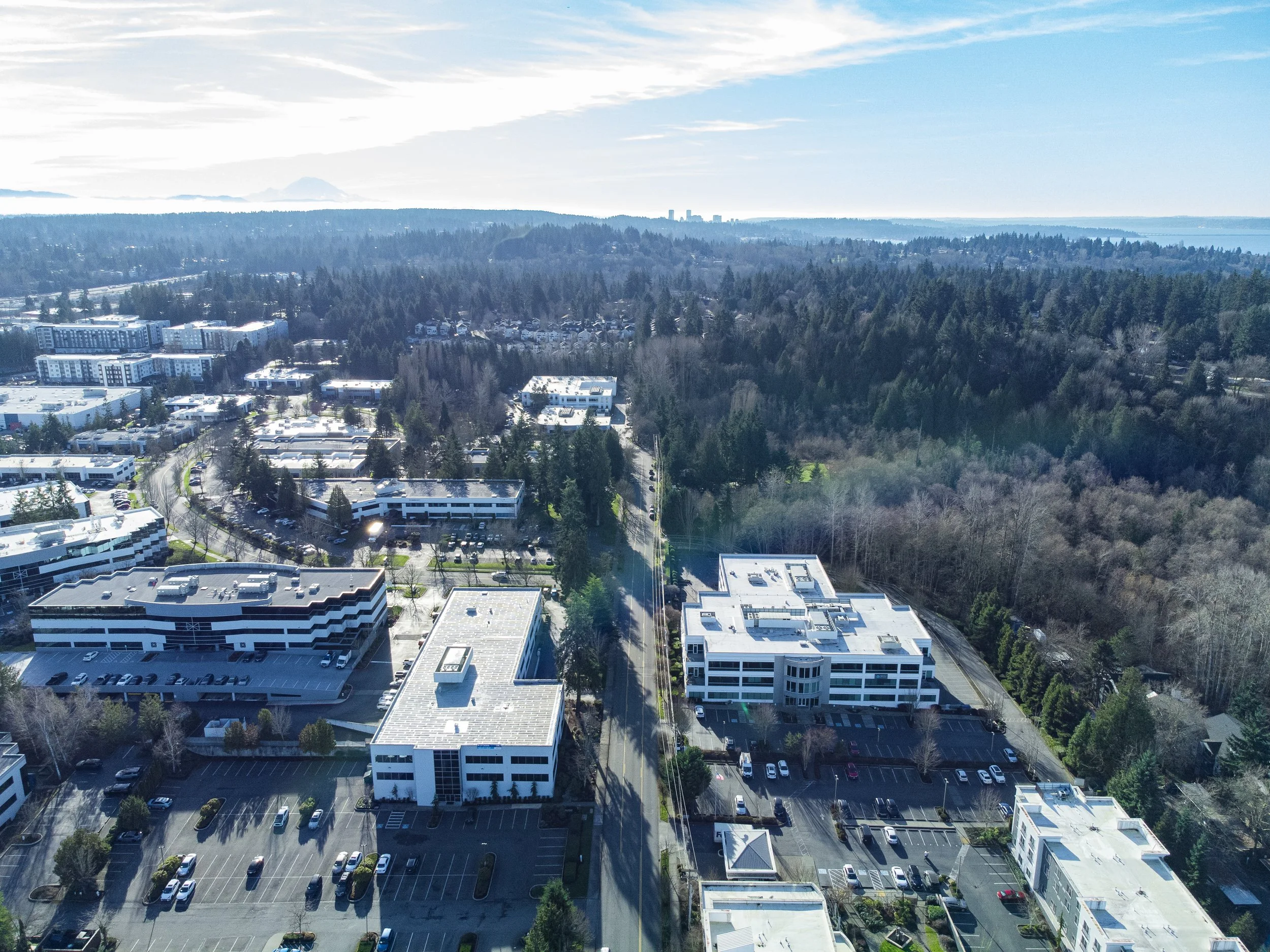 Property_12020-113th-Ave-NE-Kirkland-WA-98034_Aerial-photo-59.jpg