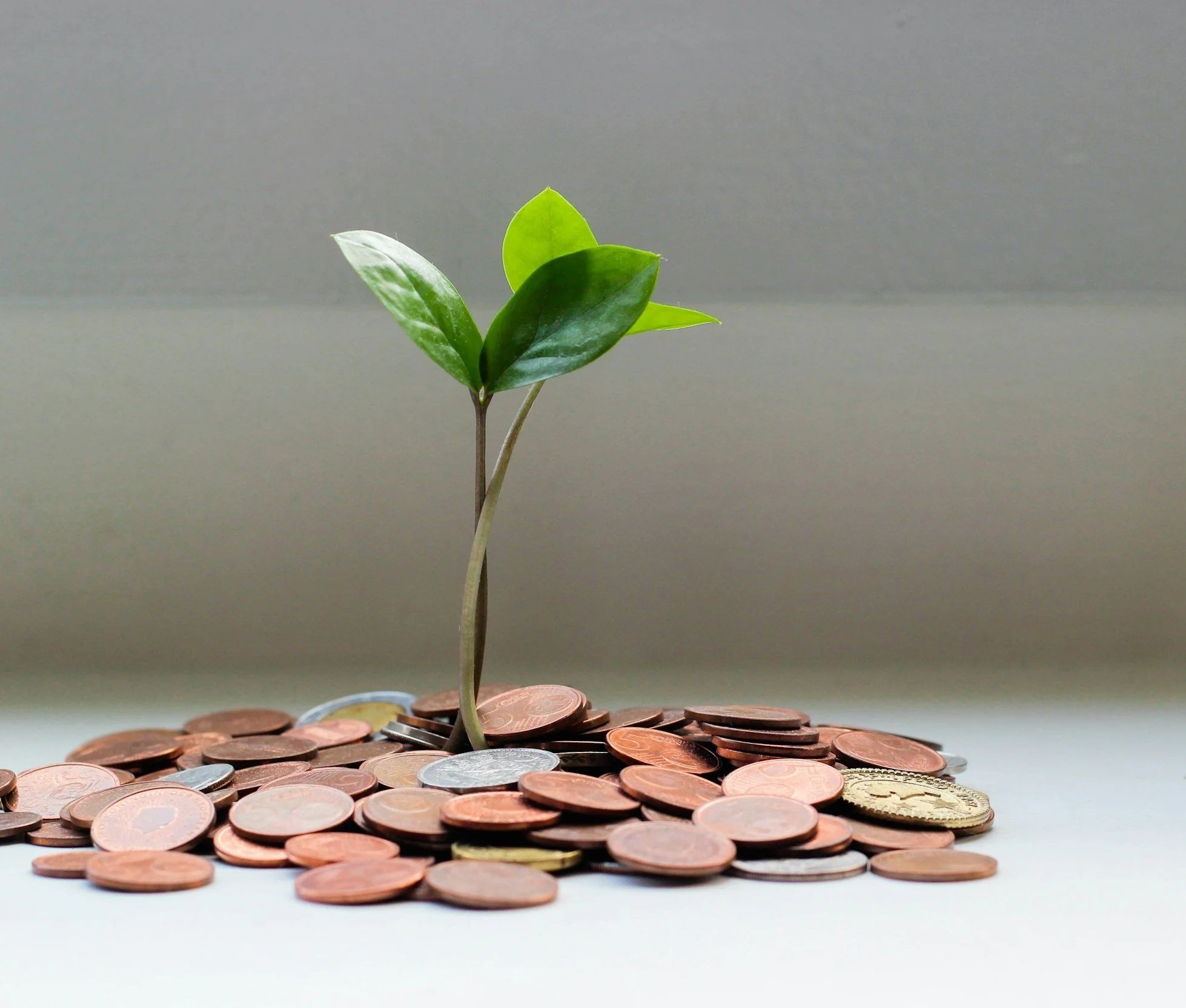 Financial planning, financial projections, budgeting, pro forma documents, tracking budgets, financial review, feasibility study