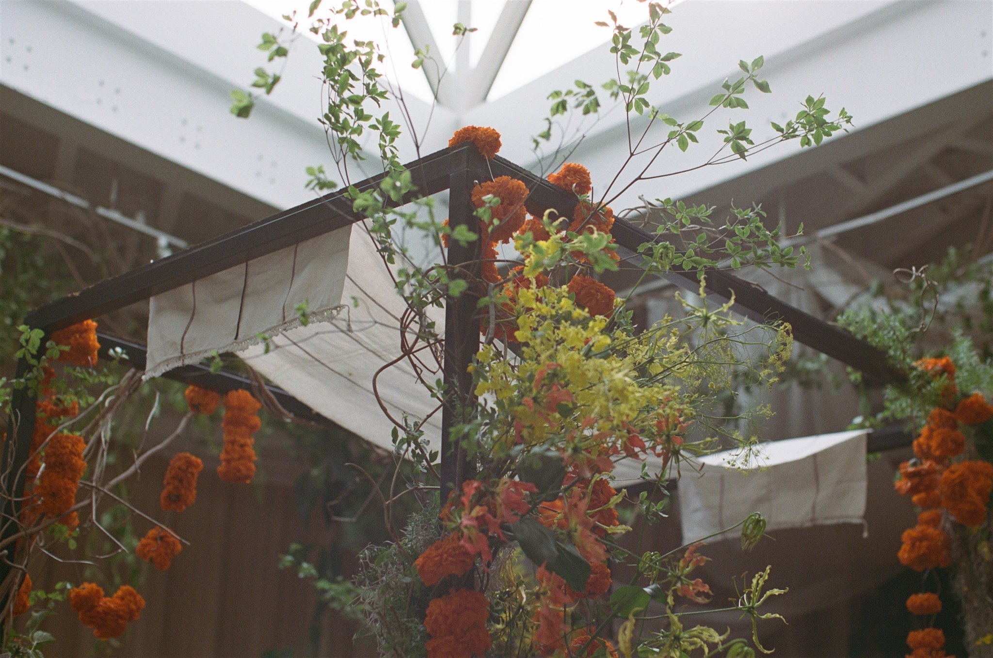 Devika &amp; jeremy rule of thirds, brooklyn ny