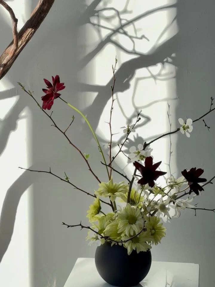 Favorite January floral moments of stillness. 🤍