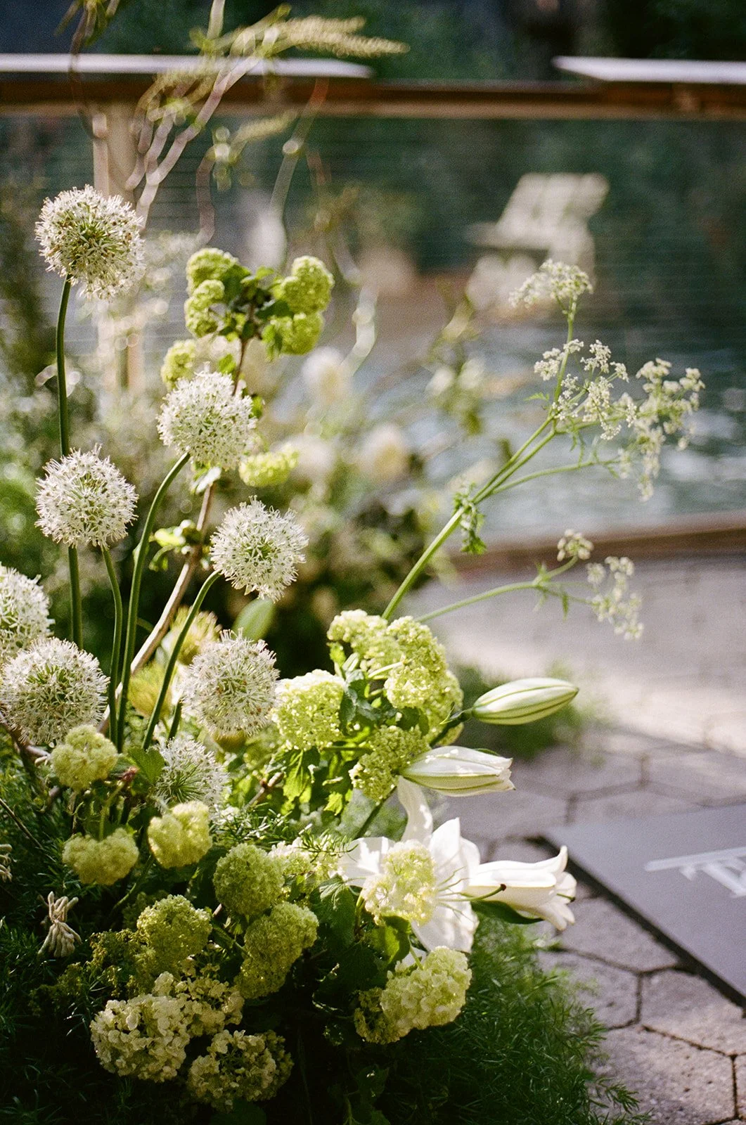sophie &amp; stephen central park zoo&amp; the american museum of natural history, new york,NY
