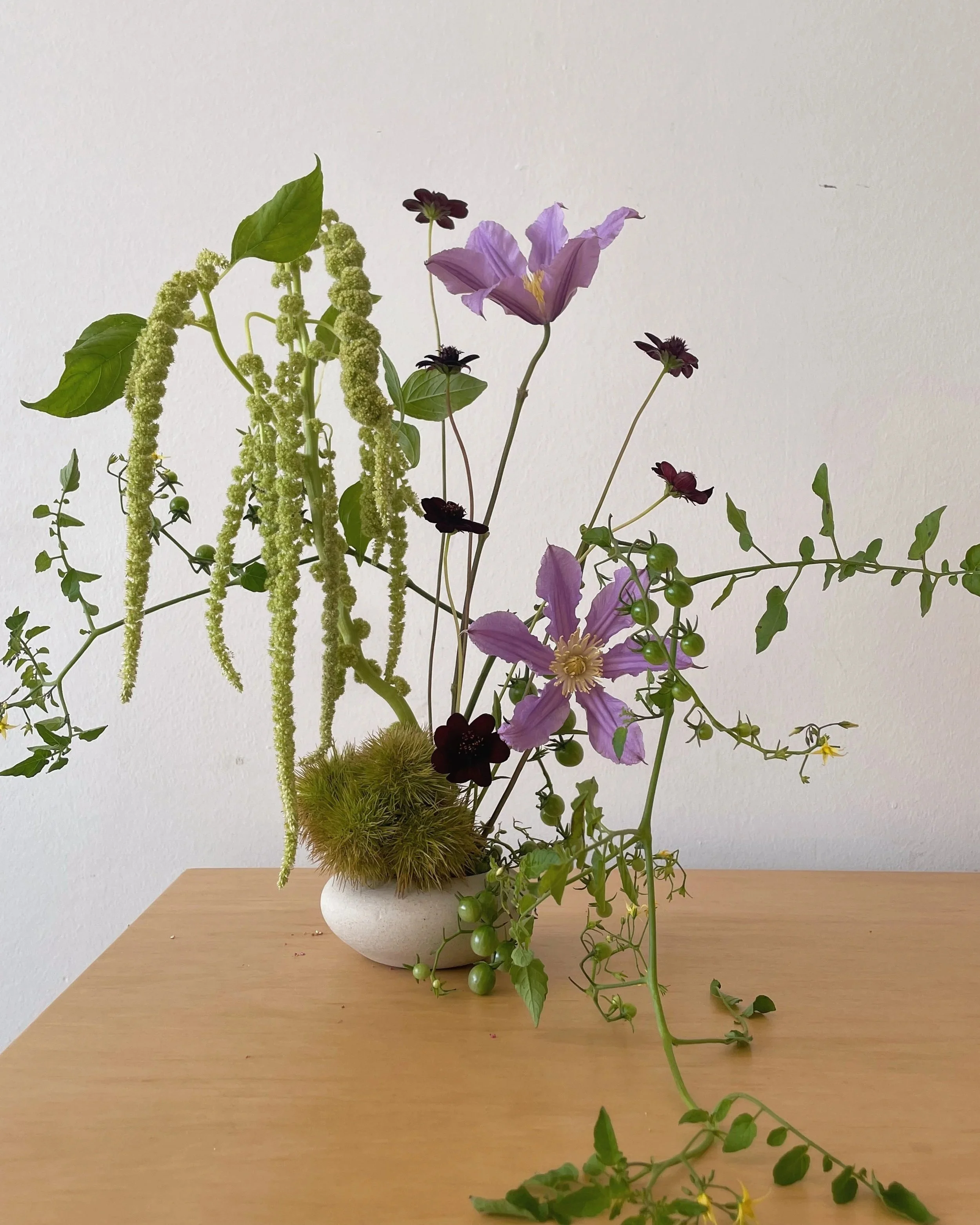 Subscription Service Coming Soon