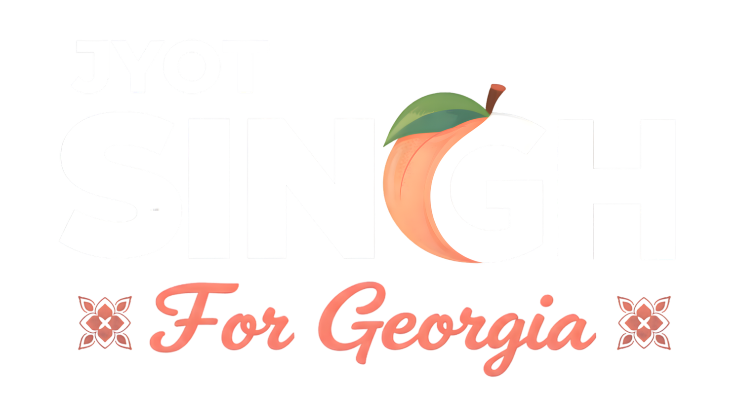 Jyot Singh for State House