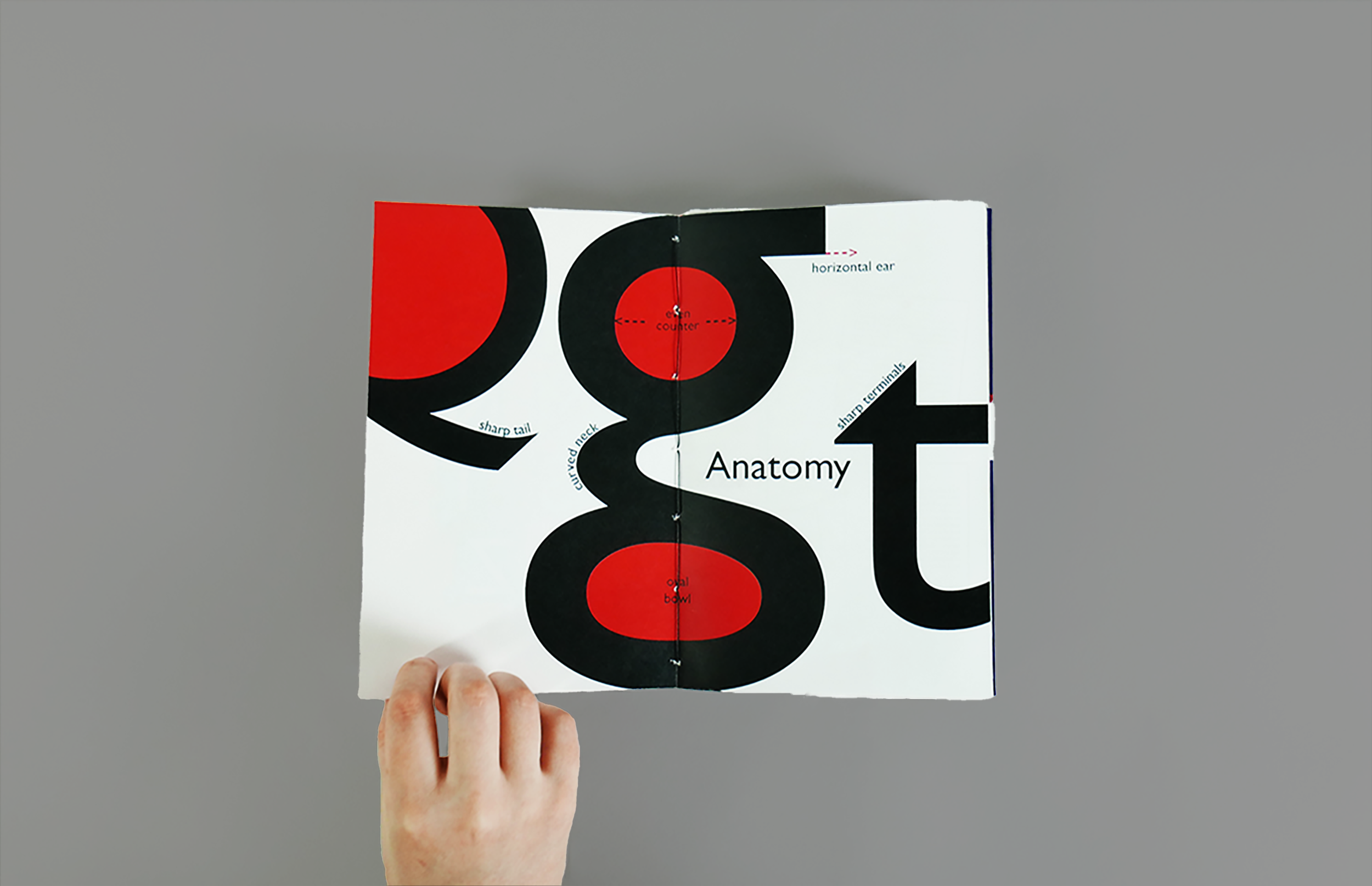 gill sans editednew 4.png