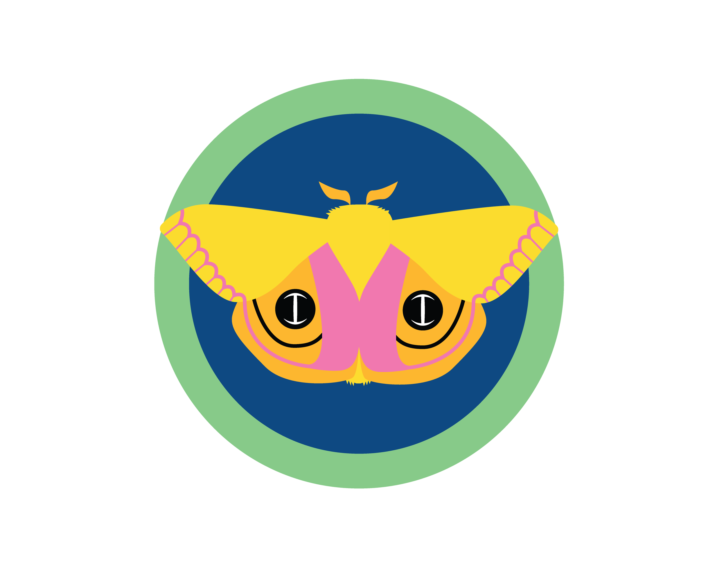 moth series (1)-02.png