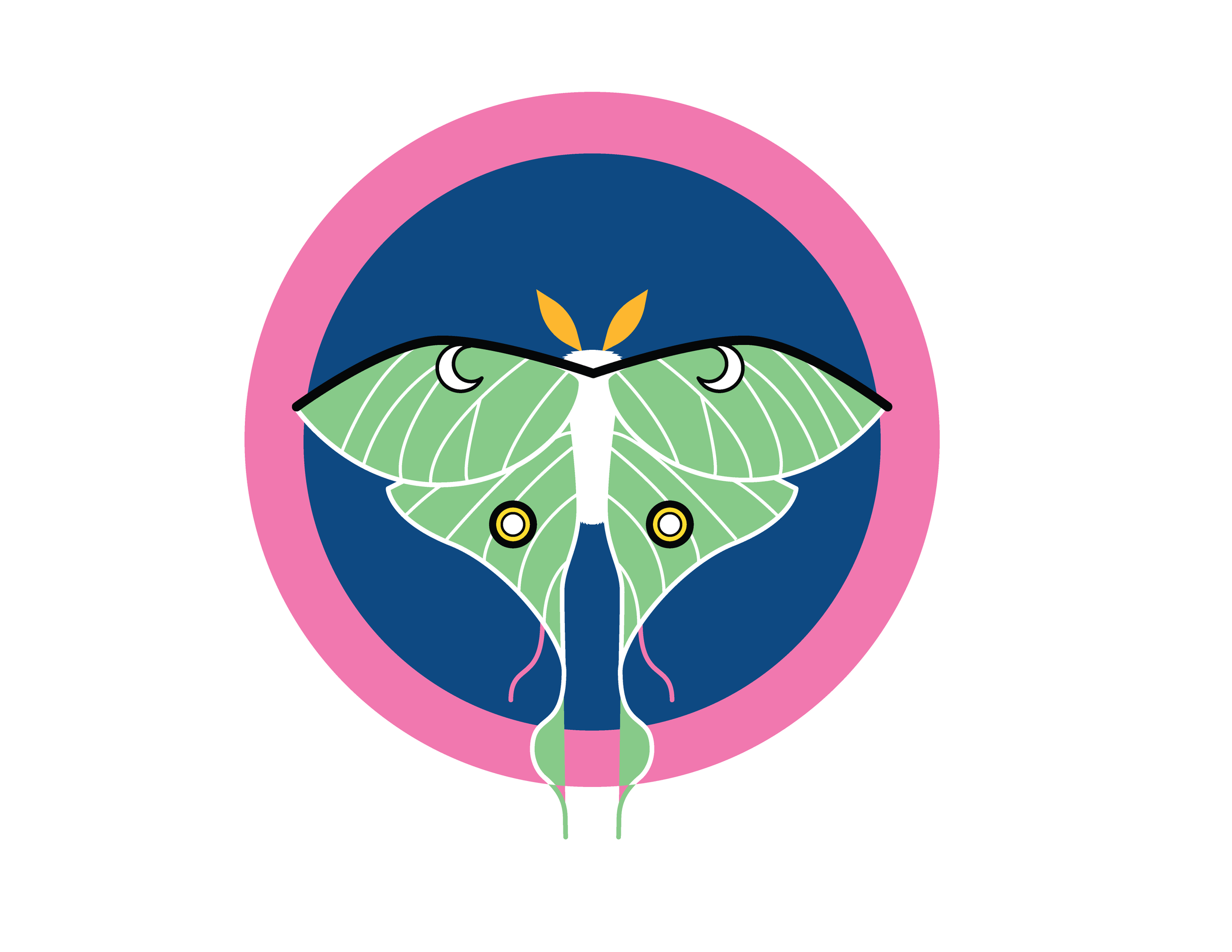 moth series (1)-01.png