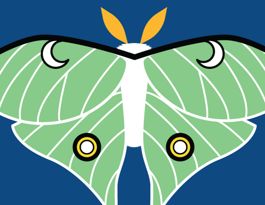 Moth Series
