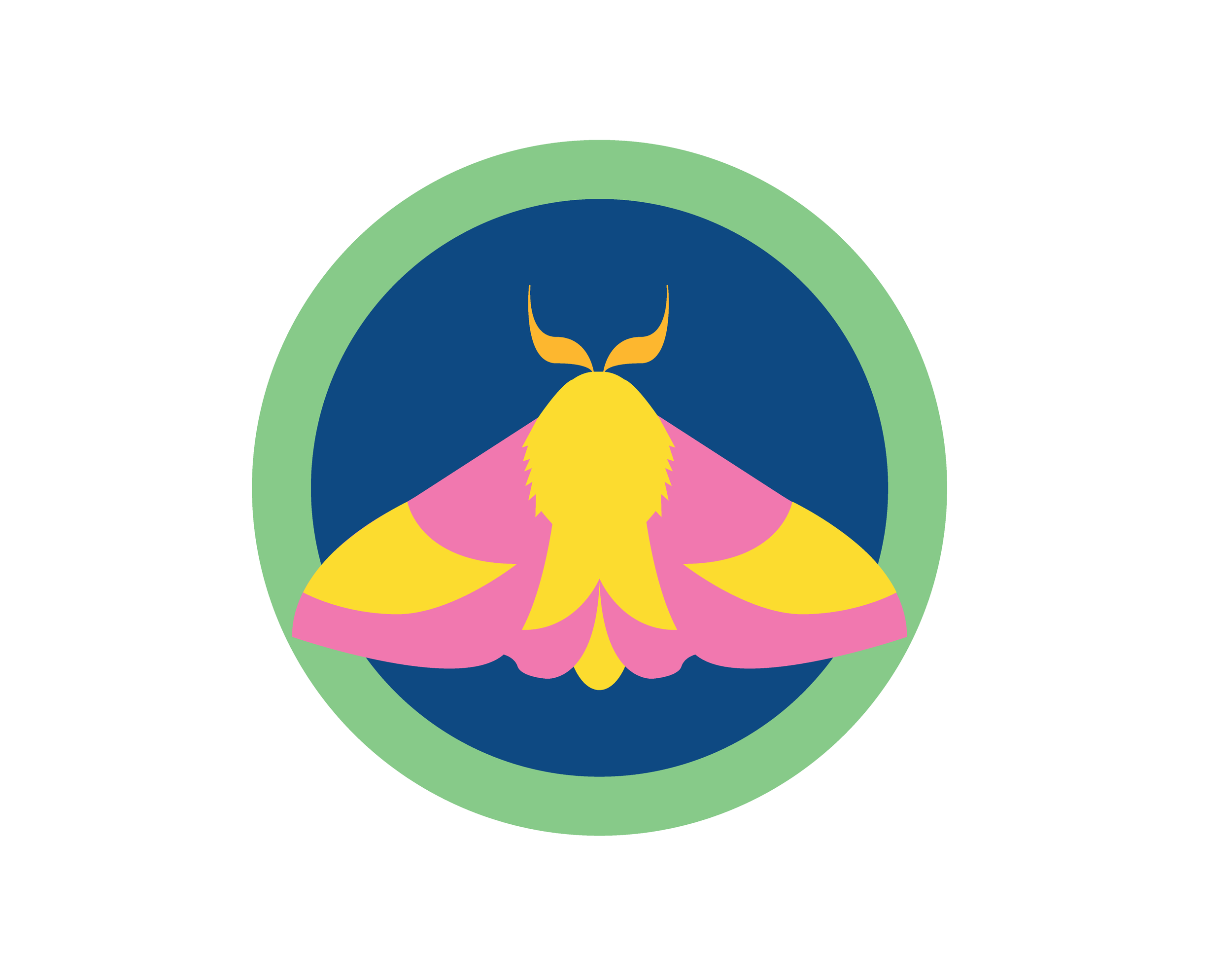 moth series (1)-03.png