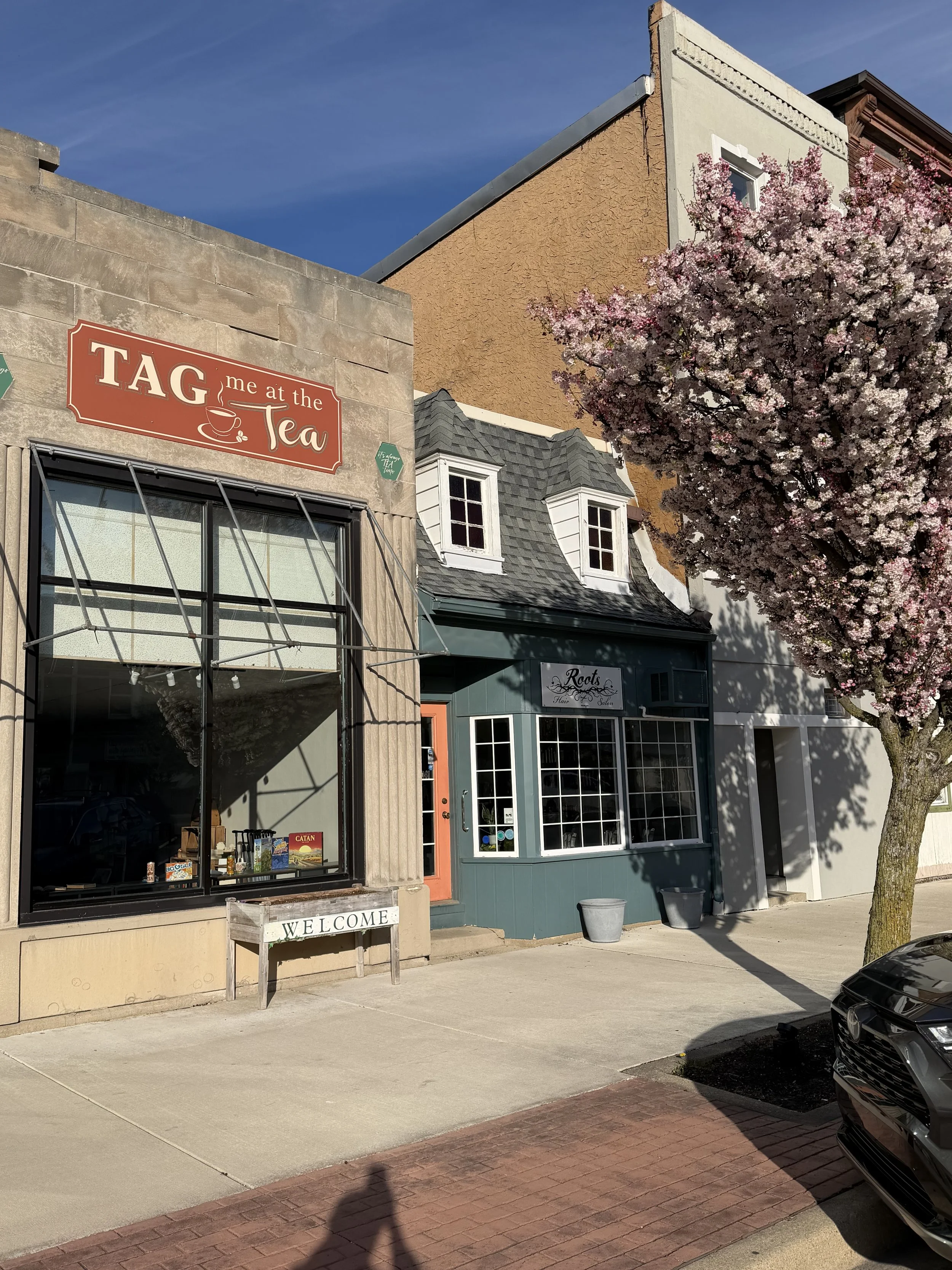 Street view of a small storefront with a blue facade and white trim, next to a large flowering tree with pink blossoms, with a sign that reads 'Root' and a large window display, and a sign for a tea shop above the window.