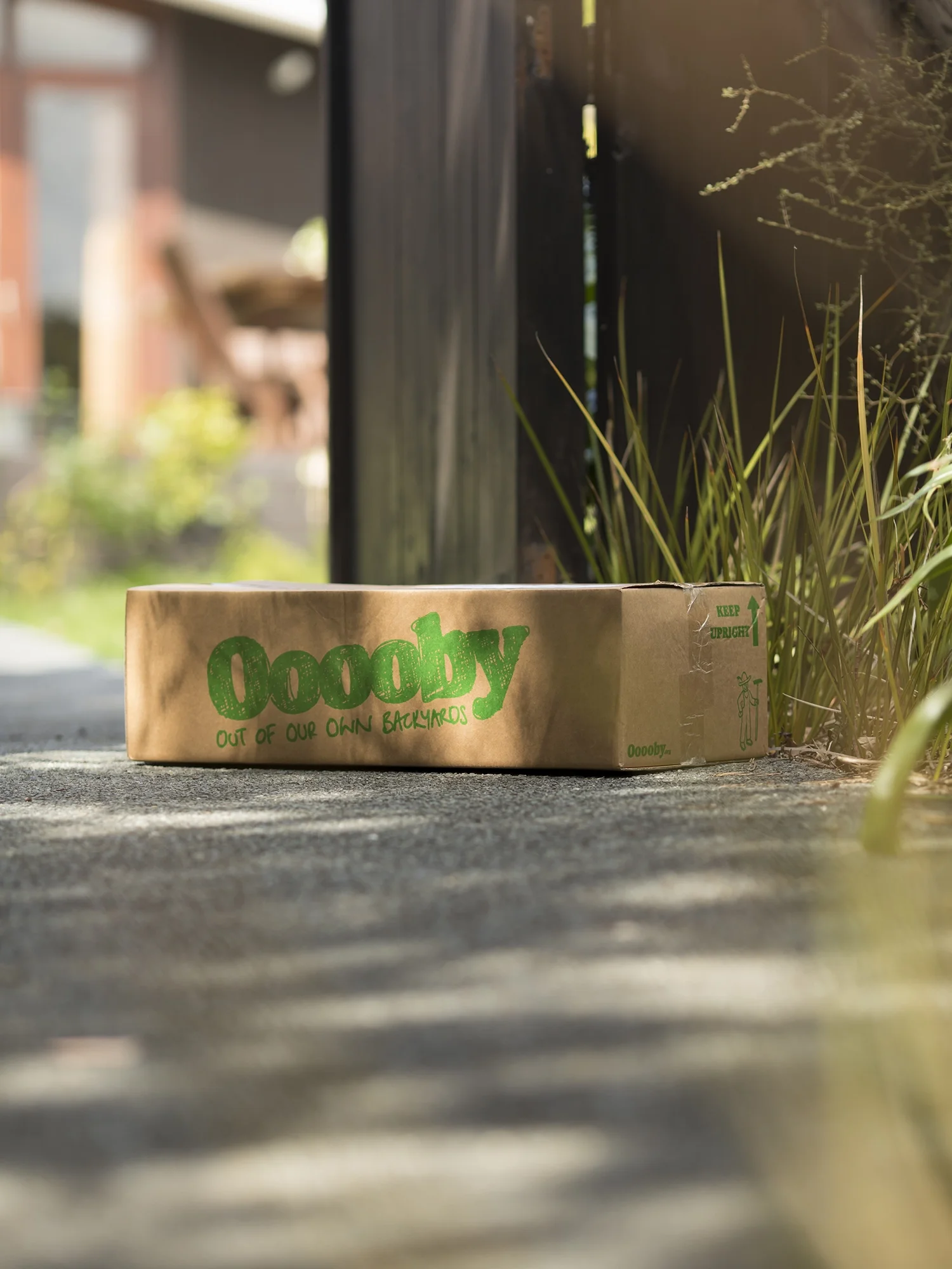 A cardboard box on a concrete sidewalk near a wooden fence and tall grass, with outdoor buildings visible in the background.