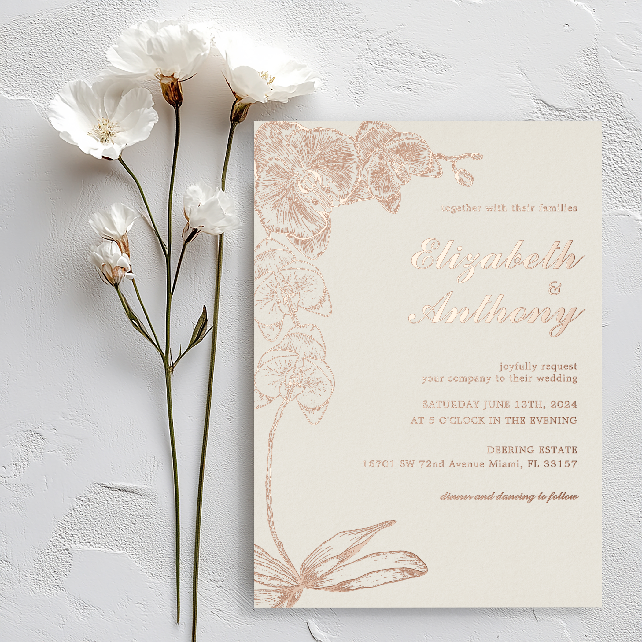 Orchid Elegance with a Quiet, Timeless Glow